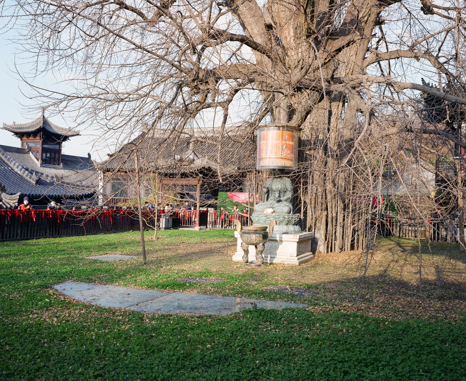 © Pan Wang - Ginkgo tree planted by Emperor Taizong of Tang Dynasty in ancient Guanyin Zen