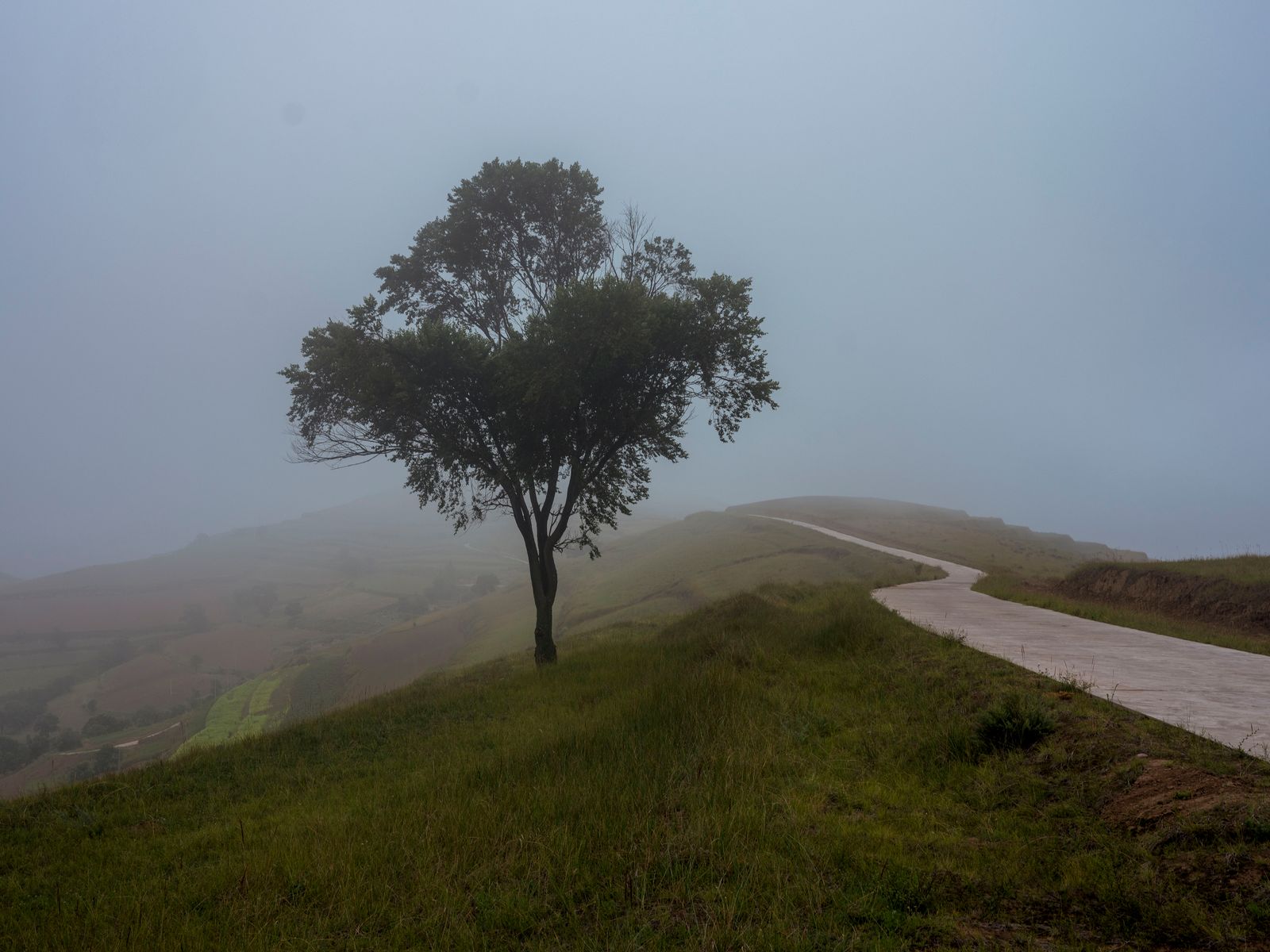 © Pan Wang - Image from the Return the land to nature photography project