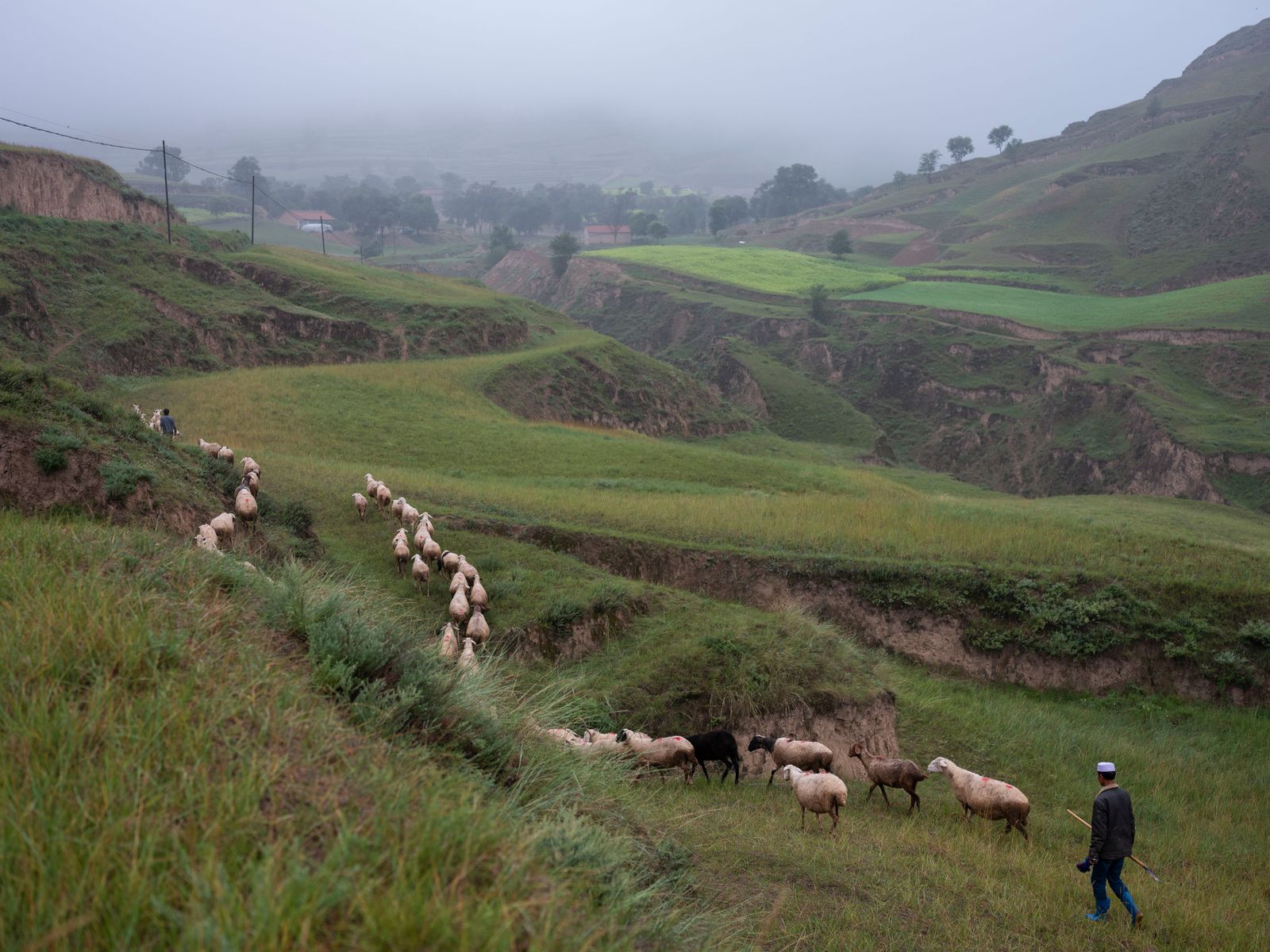 © Pan Wang - Image from the Return the land to nature photography project