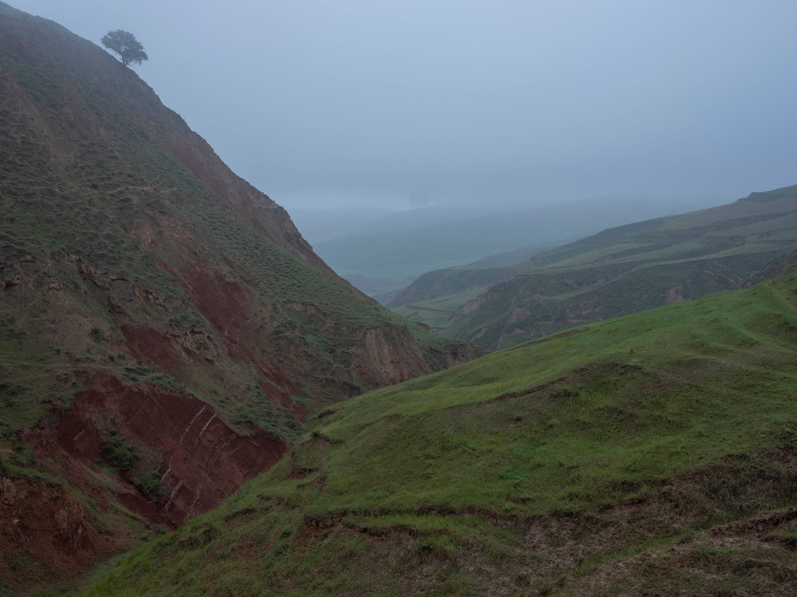 © Pan Wang - Image from the Return the land to nature photography project