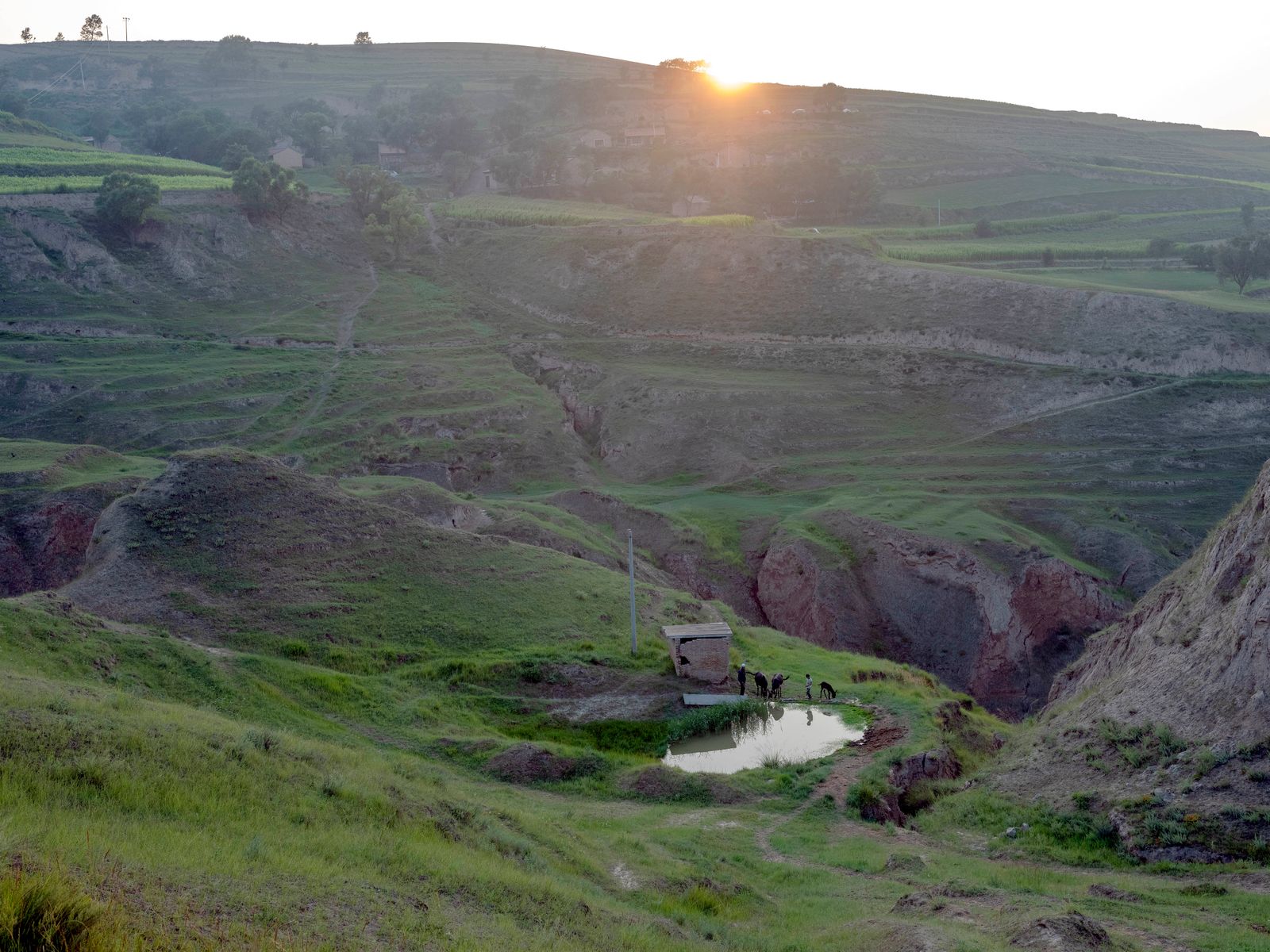 © Pan Wang - Image from the Return the land to nature photography project