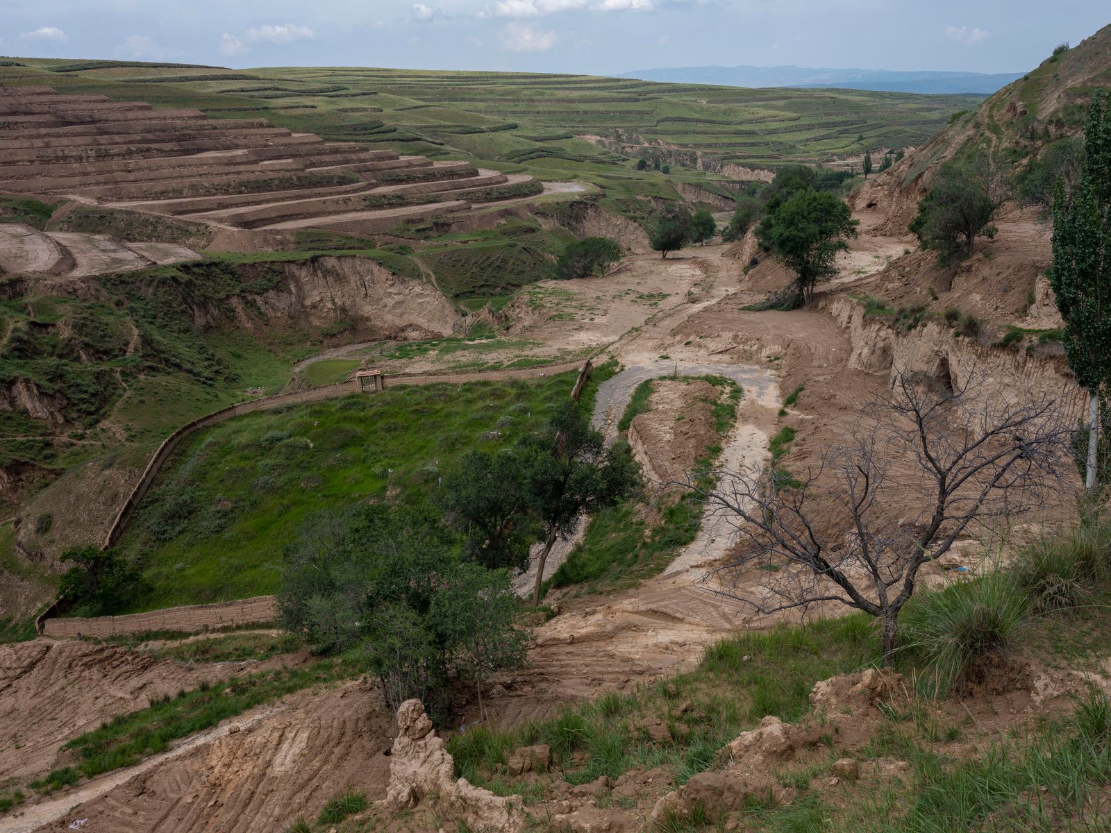 © Pan Wang - Image from the Return the land to nature photography project