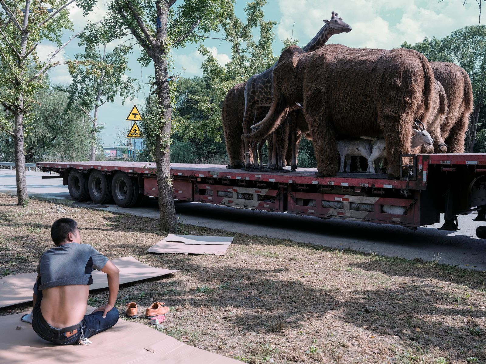 © Pan Wang - Image from the Survival in adversity photography project