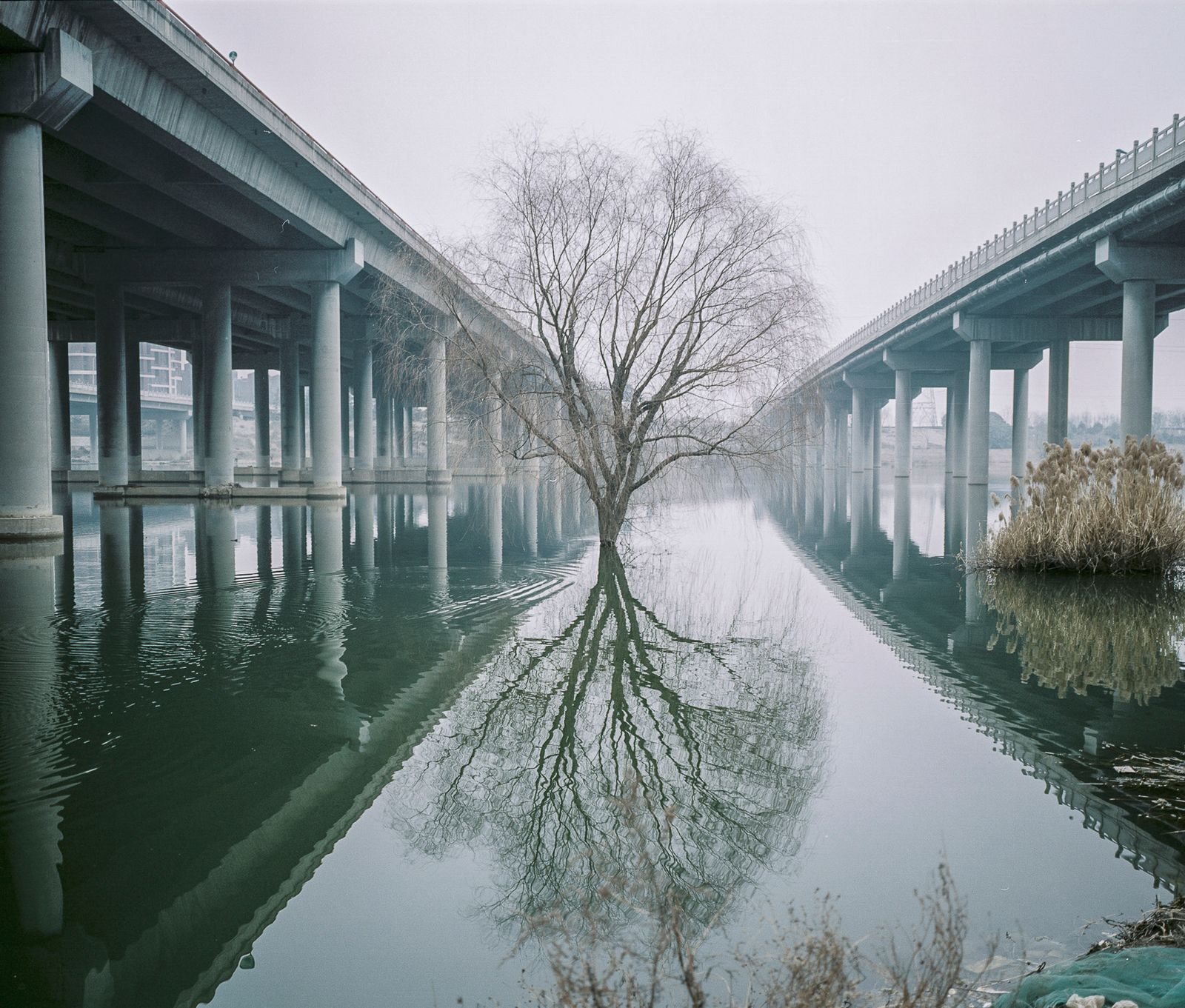 © Pan Wang - Image from the The Wei River is vast photography project