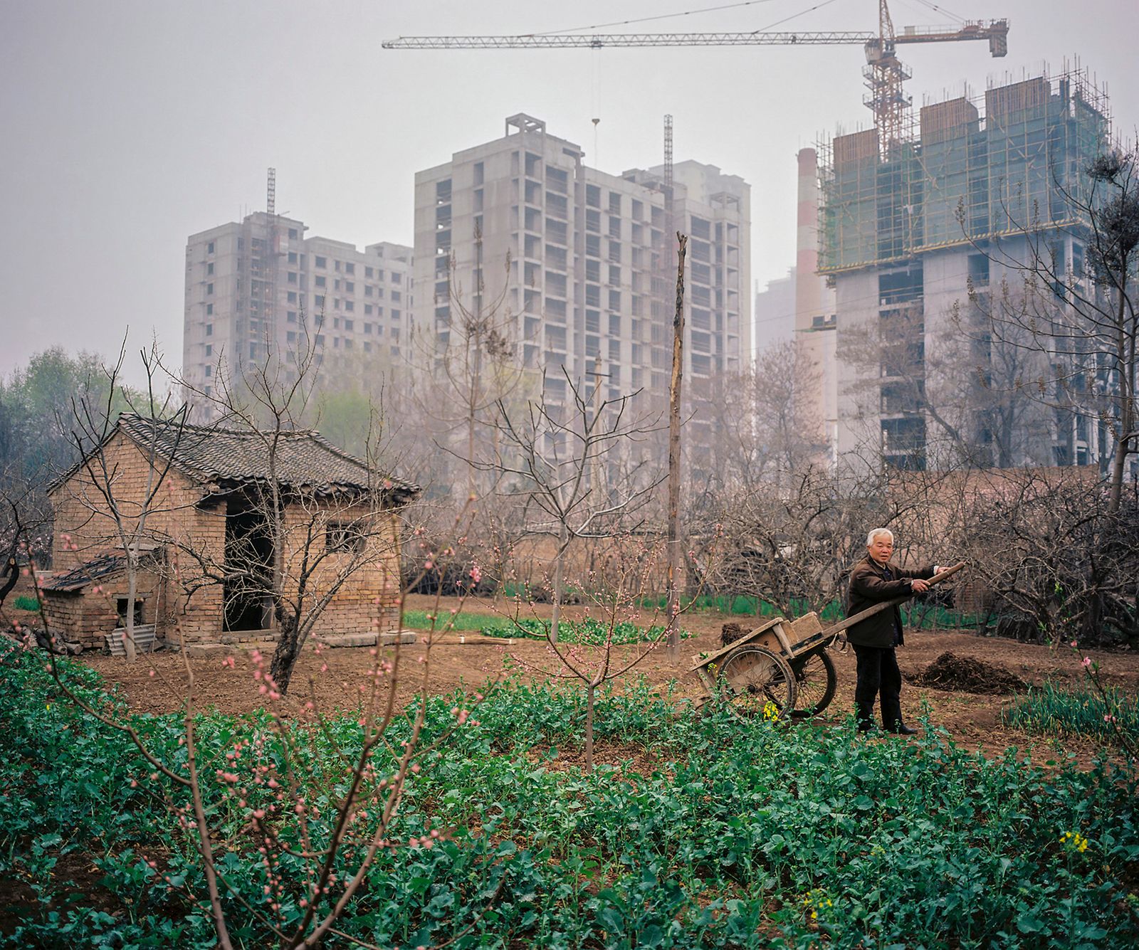 © Pan Wang - 16. Farmland gradually occupied by commercial properties