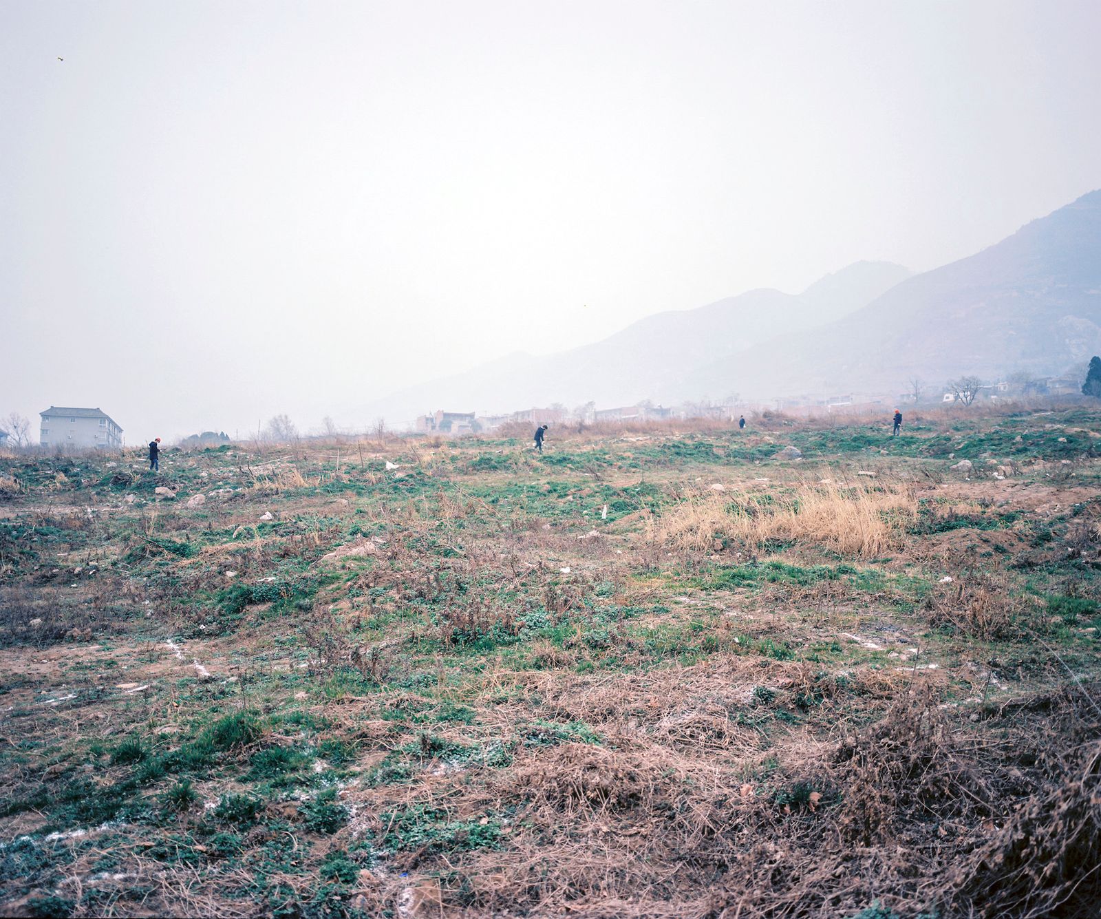 © Pan Wang - 13.On the farmland requisitioned for commercial development, construction workers are measuring the land
