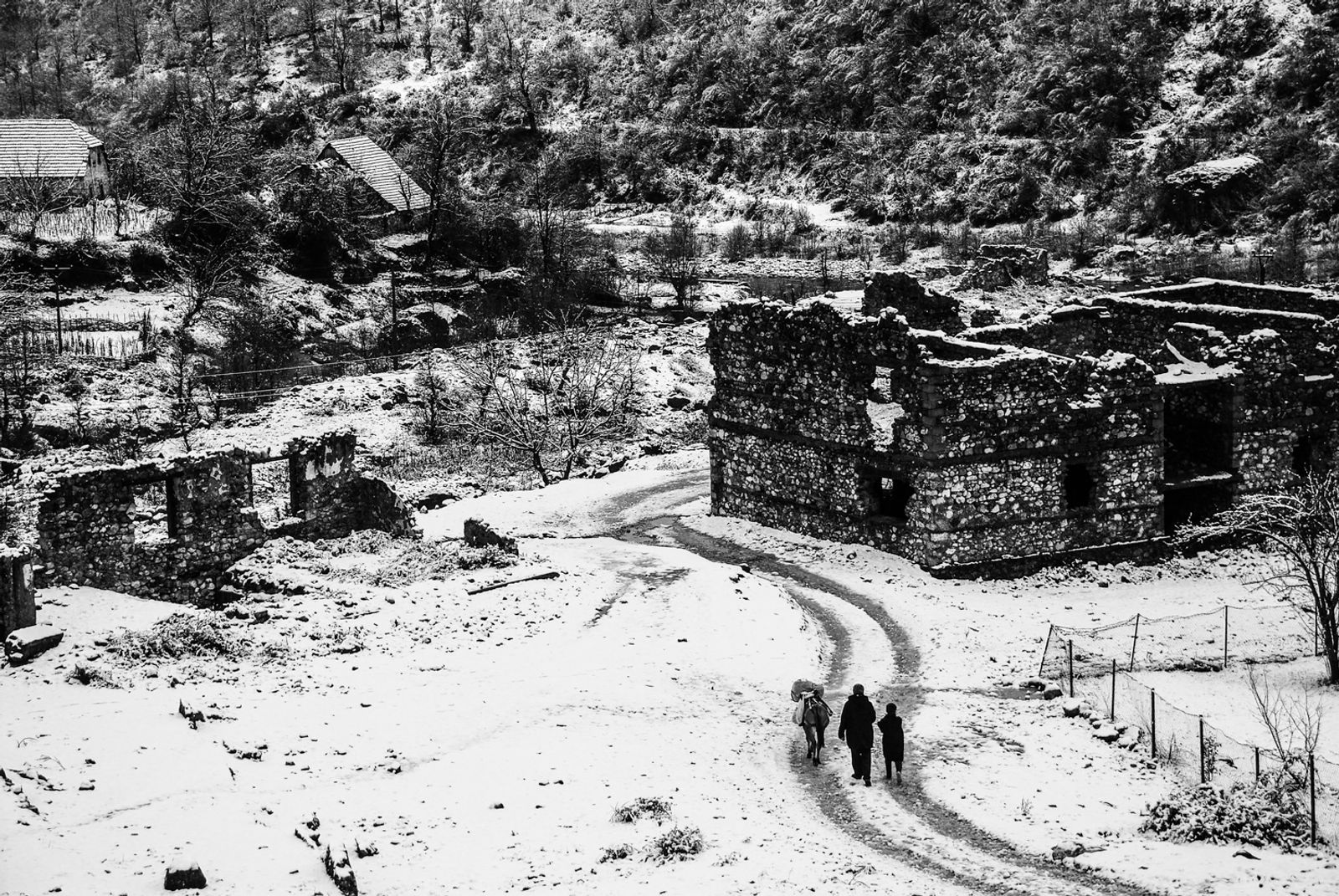 © Giovanni Cobianchi - Image from the VETEM photography project