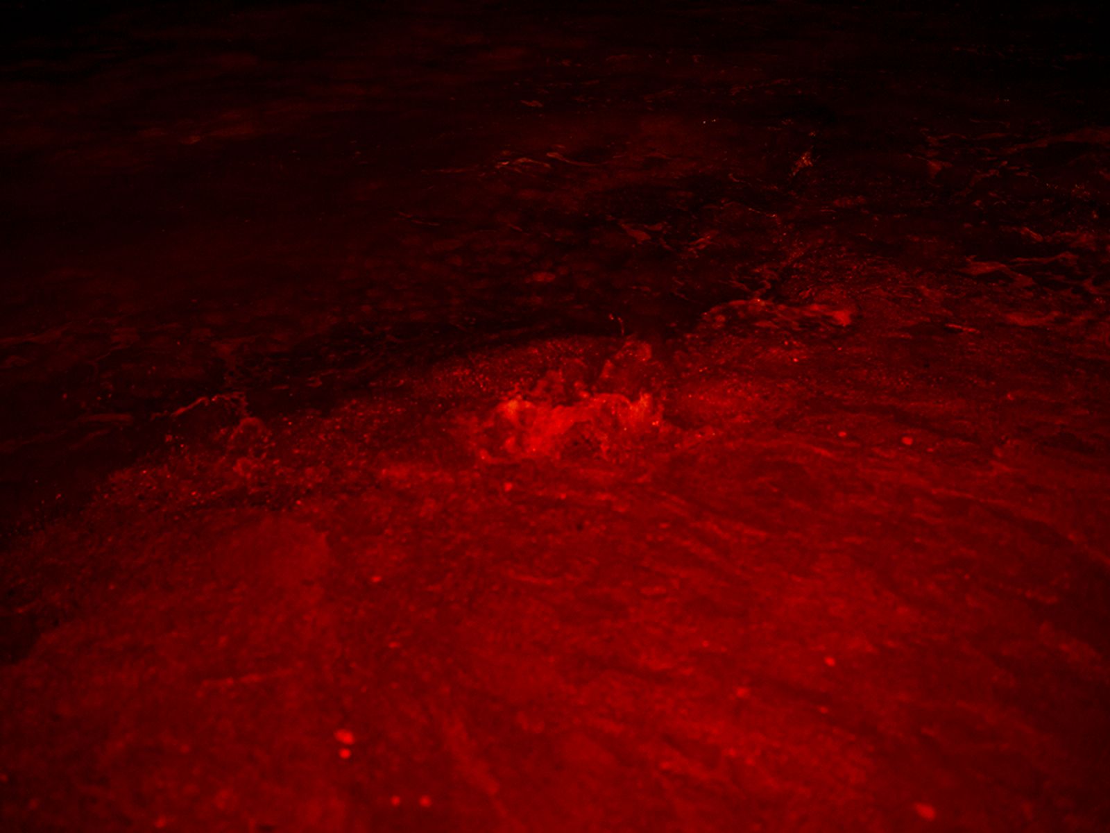 © Alisa Martynova - Image from the Nowhere Near photography project