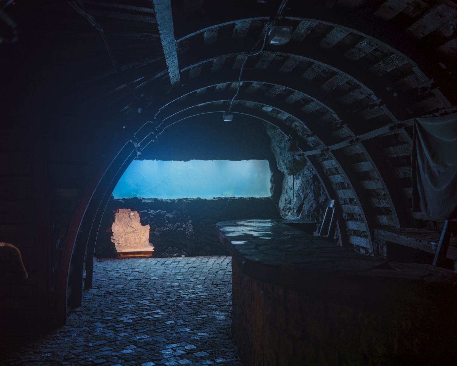 © Michał Sierakowski - Piranha’s aquarium, adit 9 of former uranium mine; Kowary, 2015