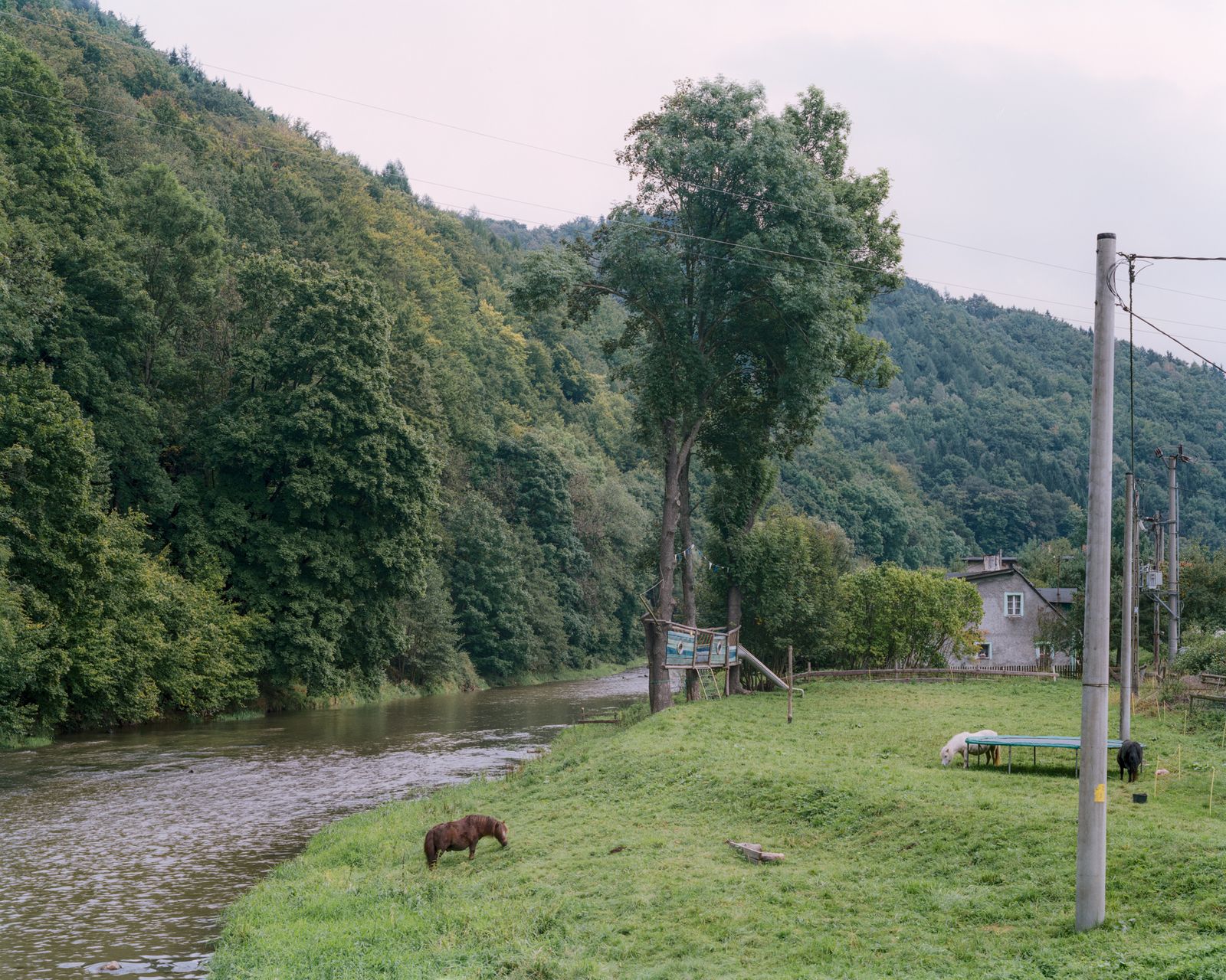 © Michał Sierakowski - Bóbr river near Miedzianka, 2014