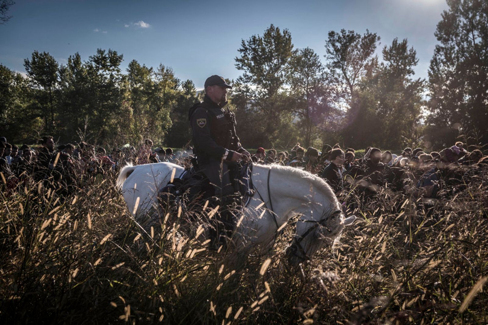 © Sergey Ponomarev - Mounted police escort hundreds of migrants after they crossed from Croatia in Dobova, Slovenia.