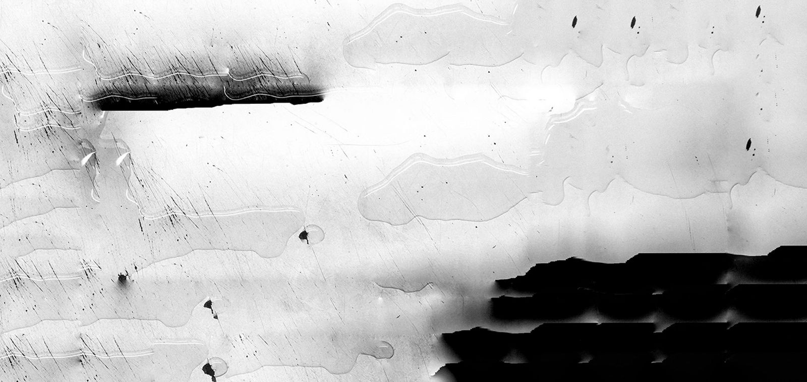 © thalles piaget - digital land