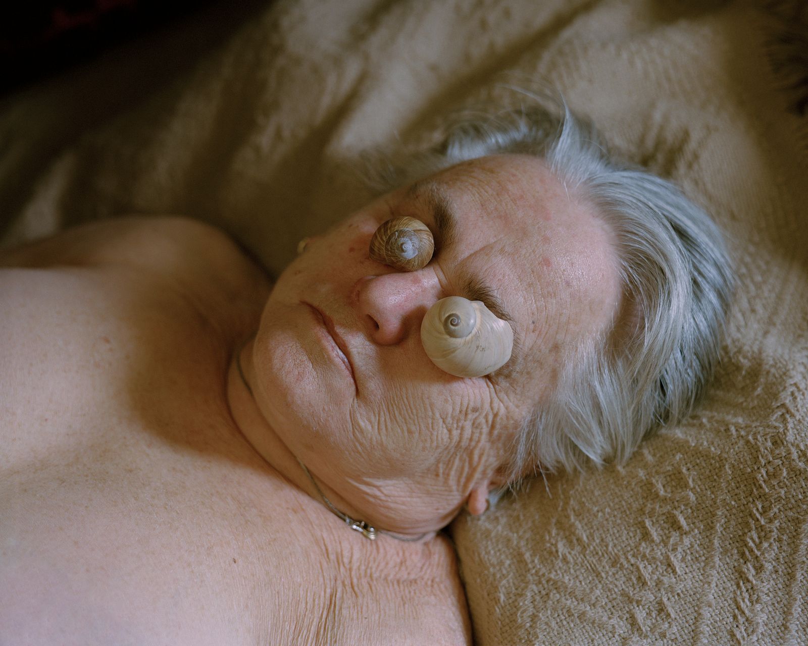 © Tomasz Kawecki - grandma's shells