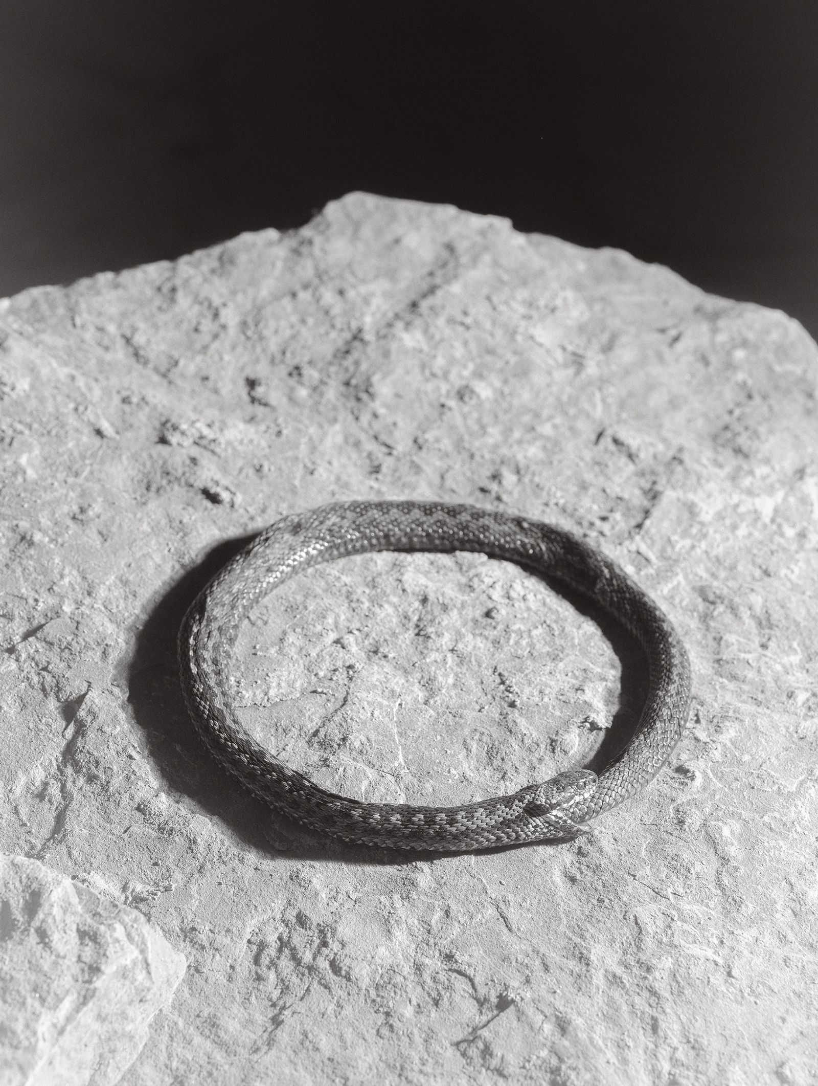 © Tomasz Kawecki - Image from the In Praise of Shadow photography project