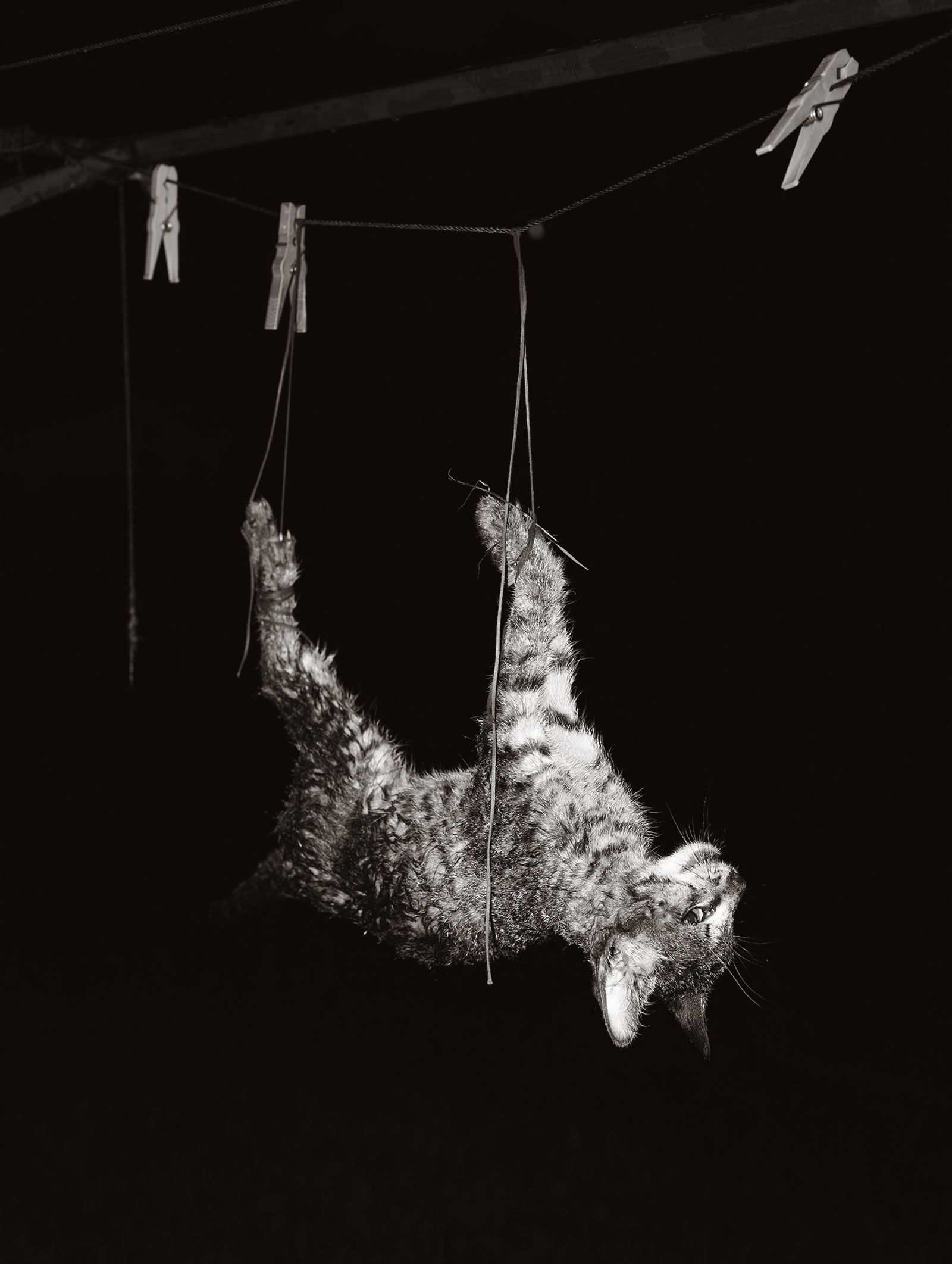 © Tomasz Kawecki - Image from the In Praise of Shadow photography project