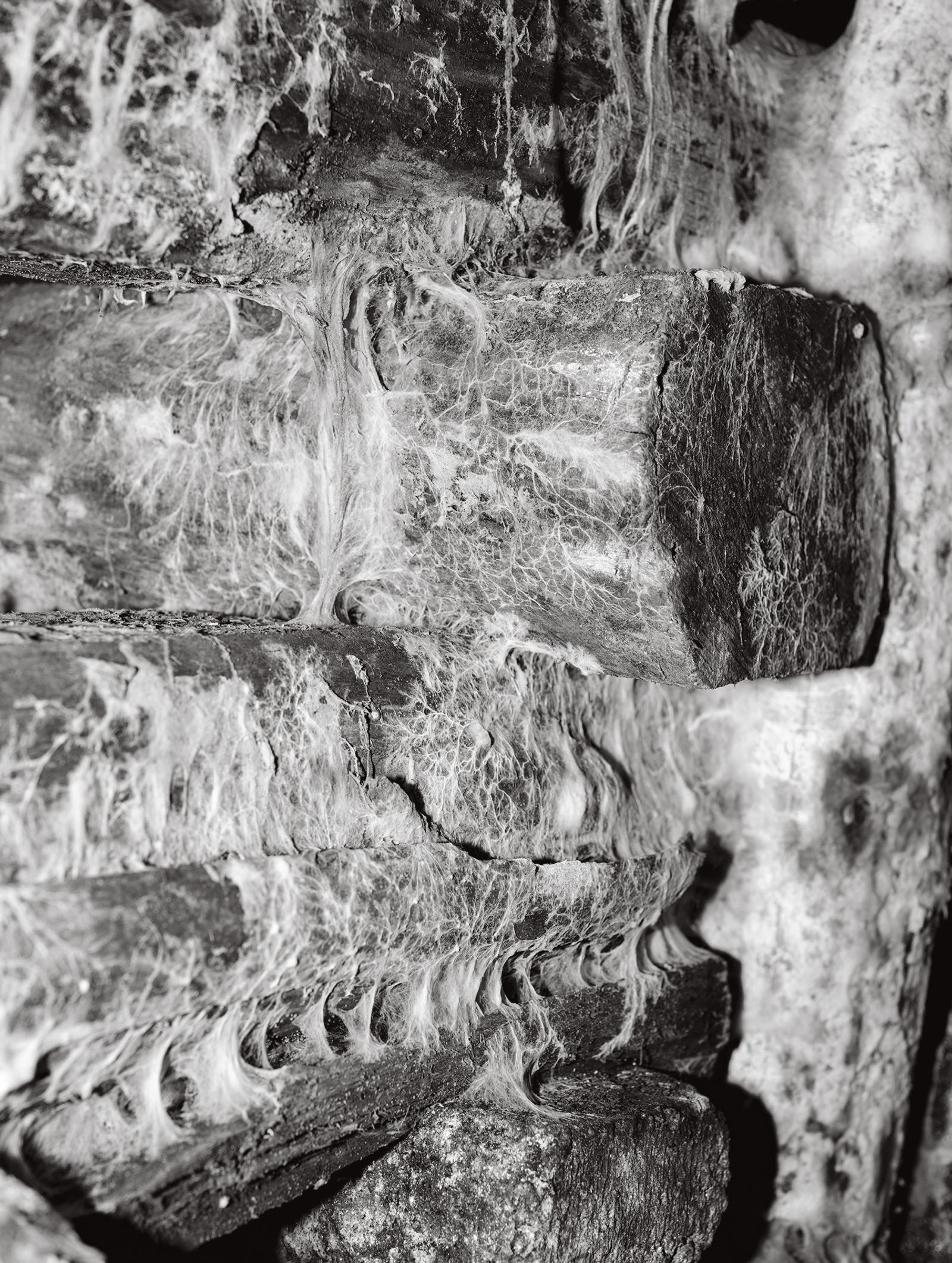 © Tomasz Kawecki - Image from the In Praise of Shadow photography project