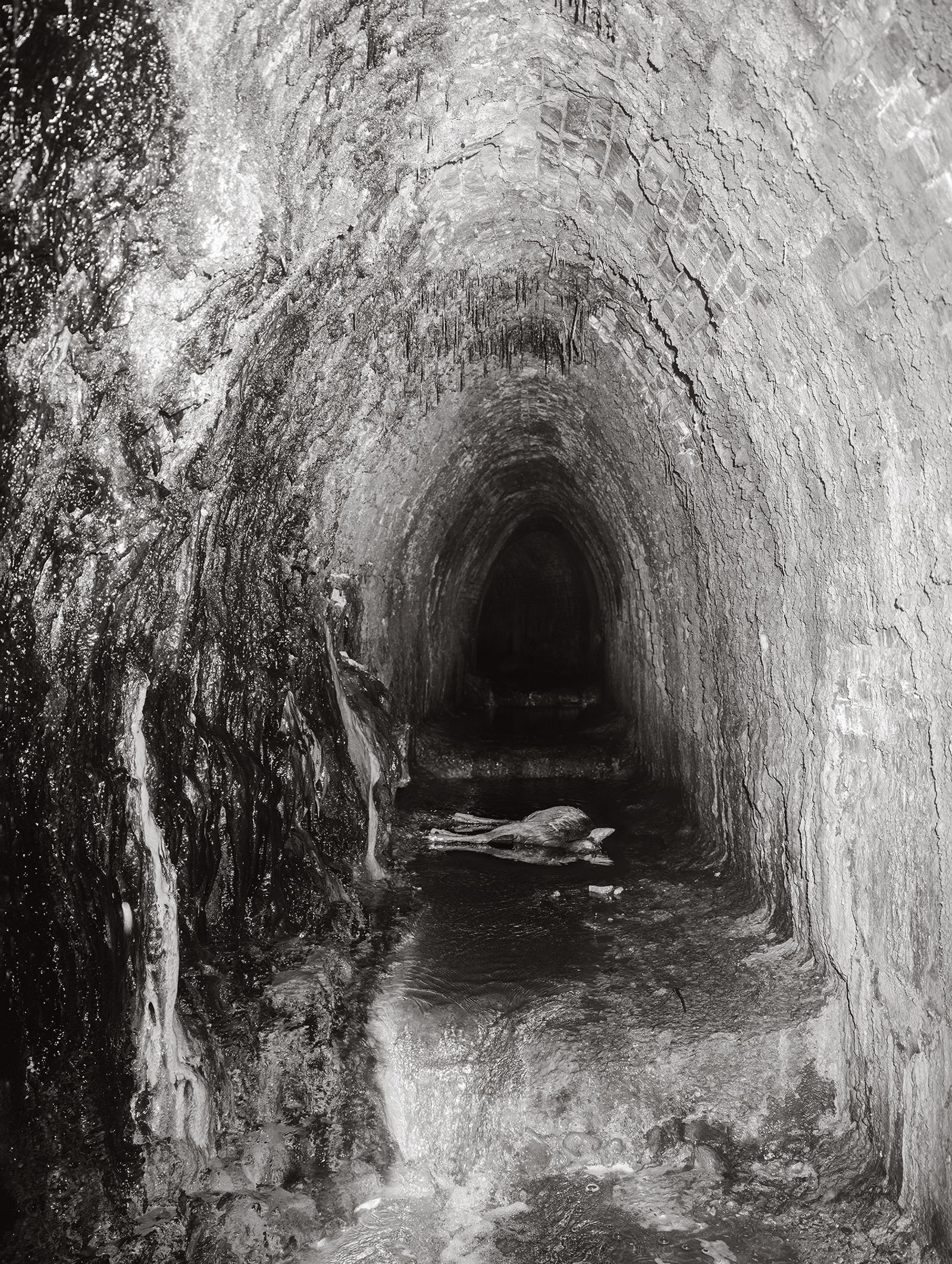 © Tomasz Kawecki - Image from the In Praise of Shadow photography project