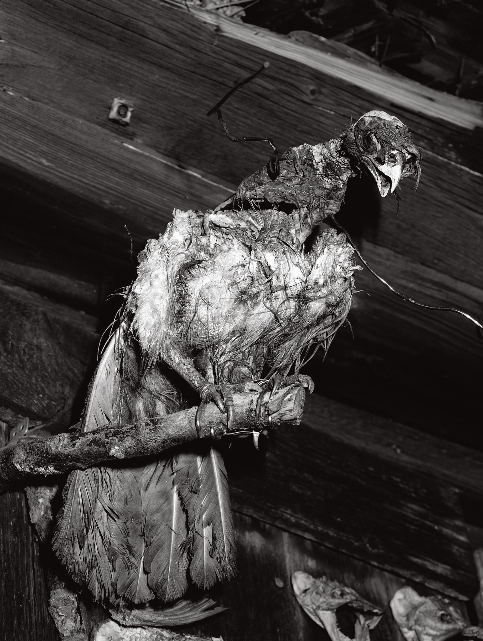 © Tomasz Kawecki - Image from the In Praise of Shadow photography project