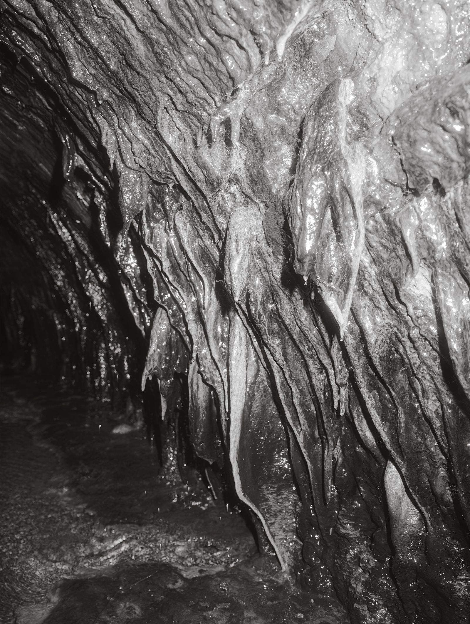 © Tomasz Kawecki - Image from the In Praise of Shadow photography project