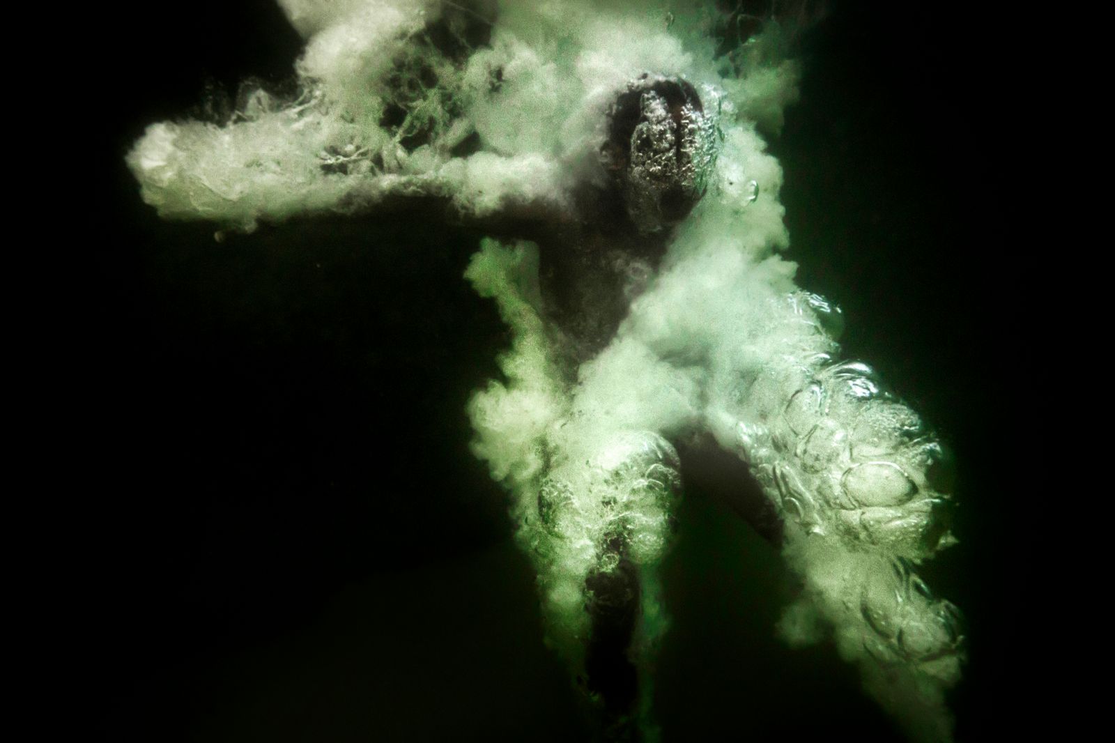 © Rafael Fabrés - Image from the CAFUNÉ photography project