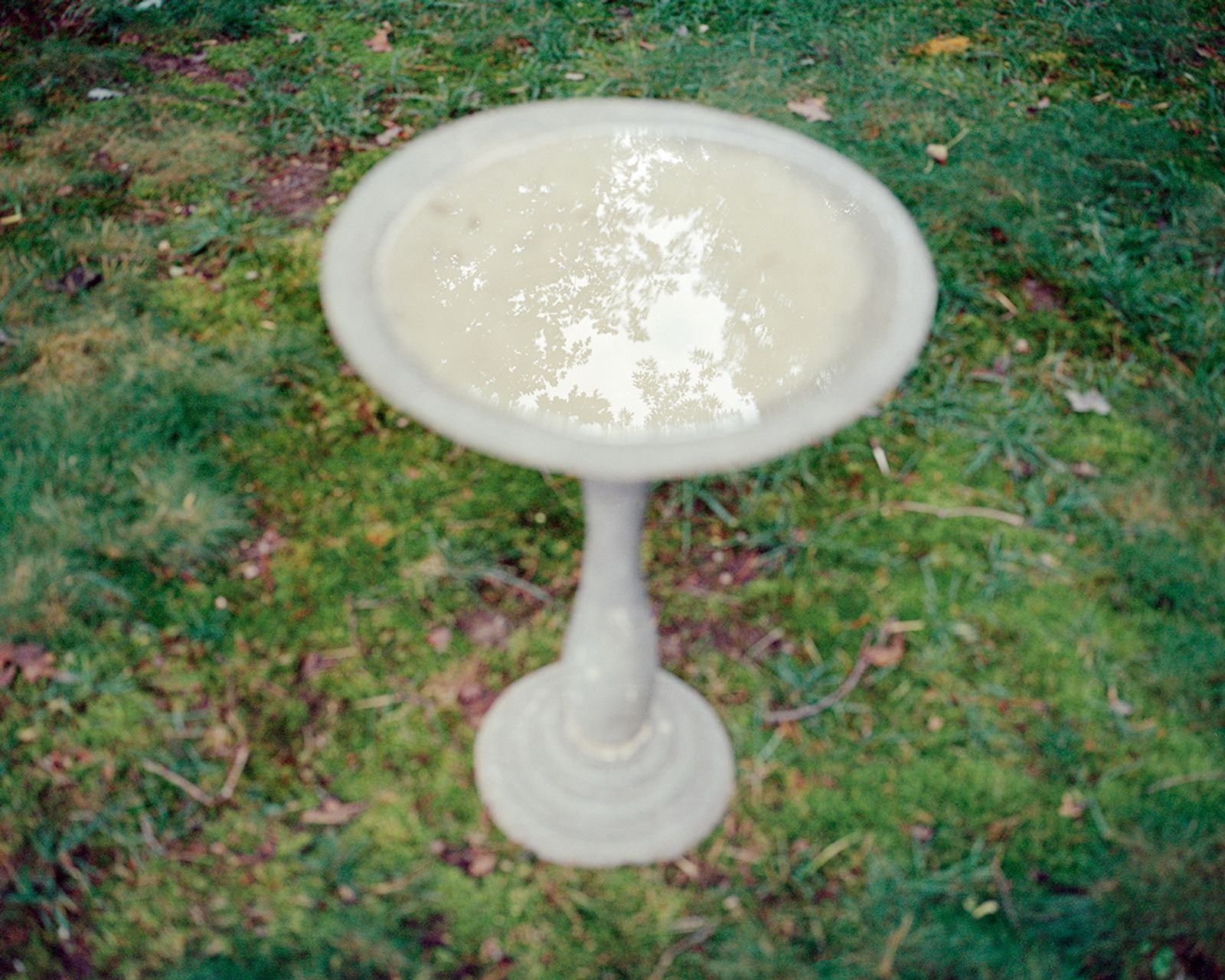 © Linda Moses - Image from the To Know You (Now and Then) photography project