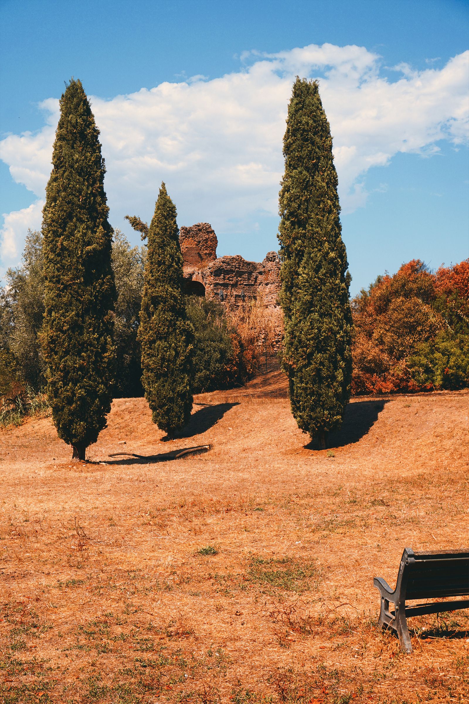 © Pascal Kapitza - Image from the Hybrids photography project