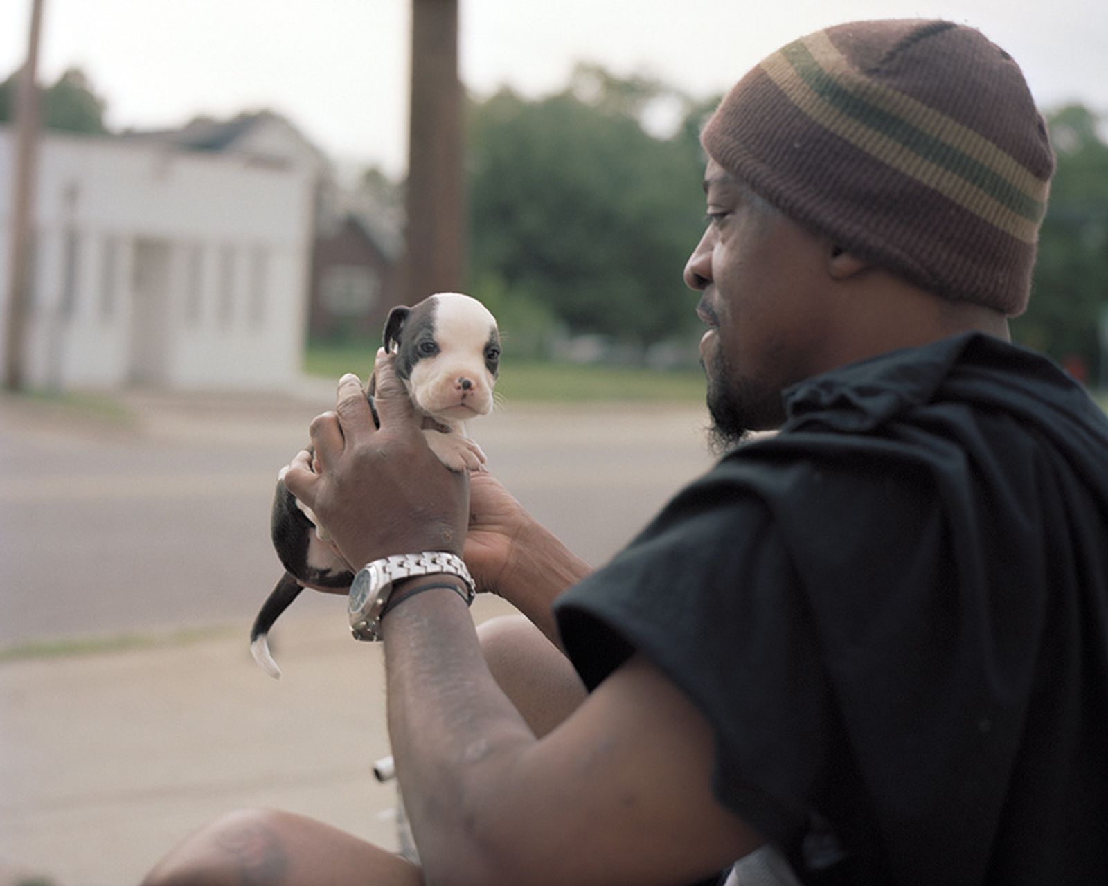 © Juan Madrid - T.P. holds his cousin's new puppy.