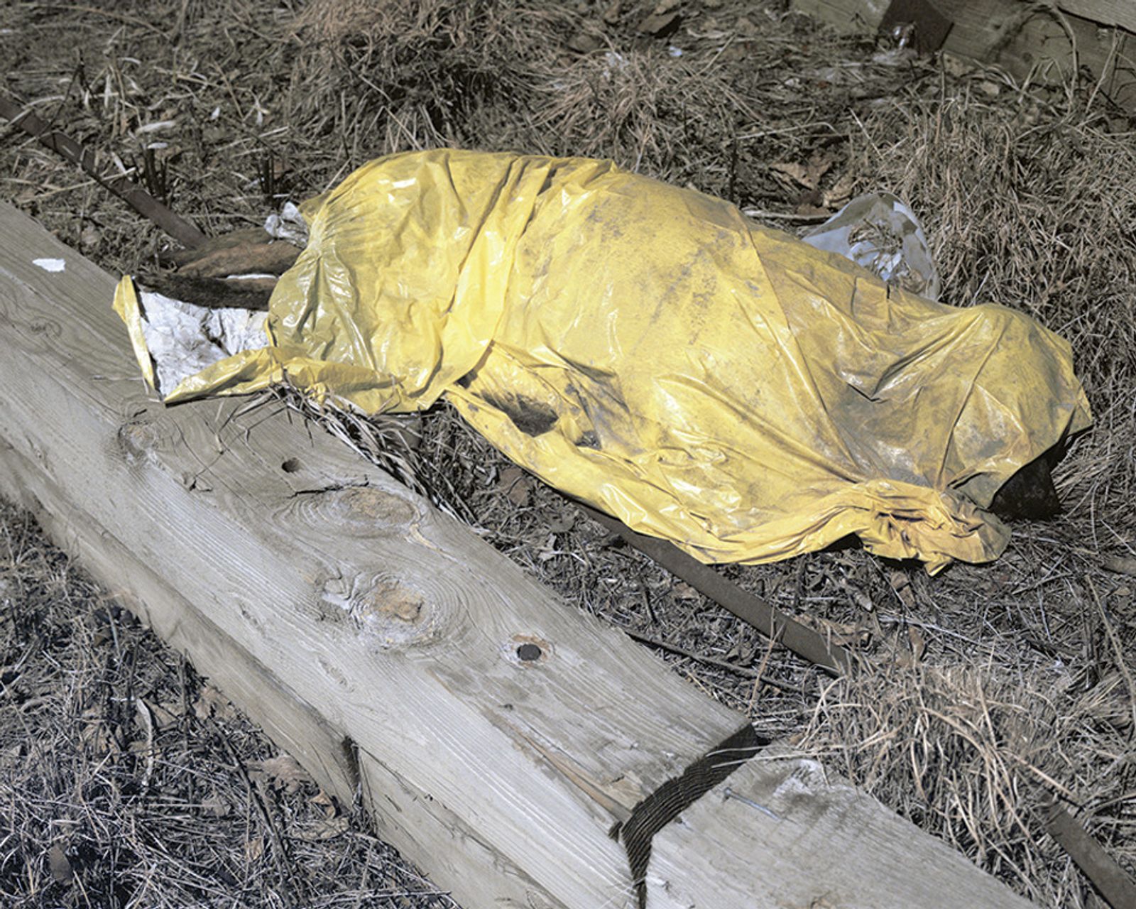 © Juan Madrid - A dead dog outside an abandoned building.
