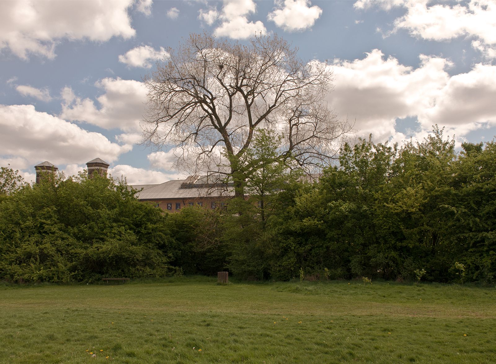 © Roxana and Pablo Allison - Picture of tree outside prison taken by Roxana, Wormwood Scrubs, 2013
