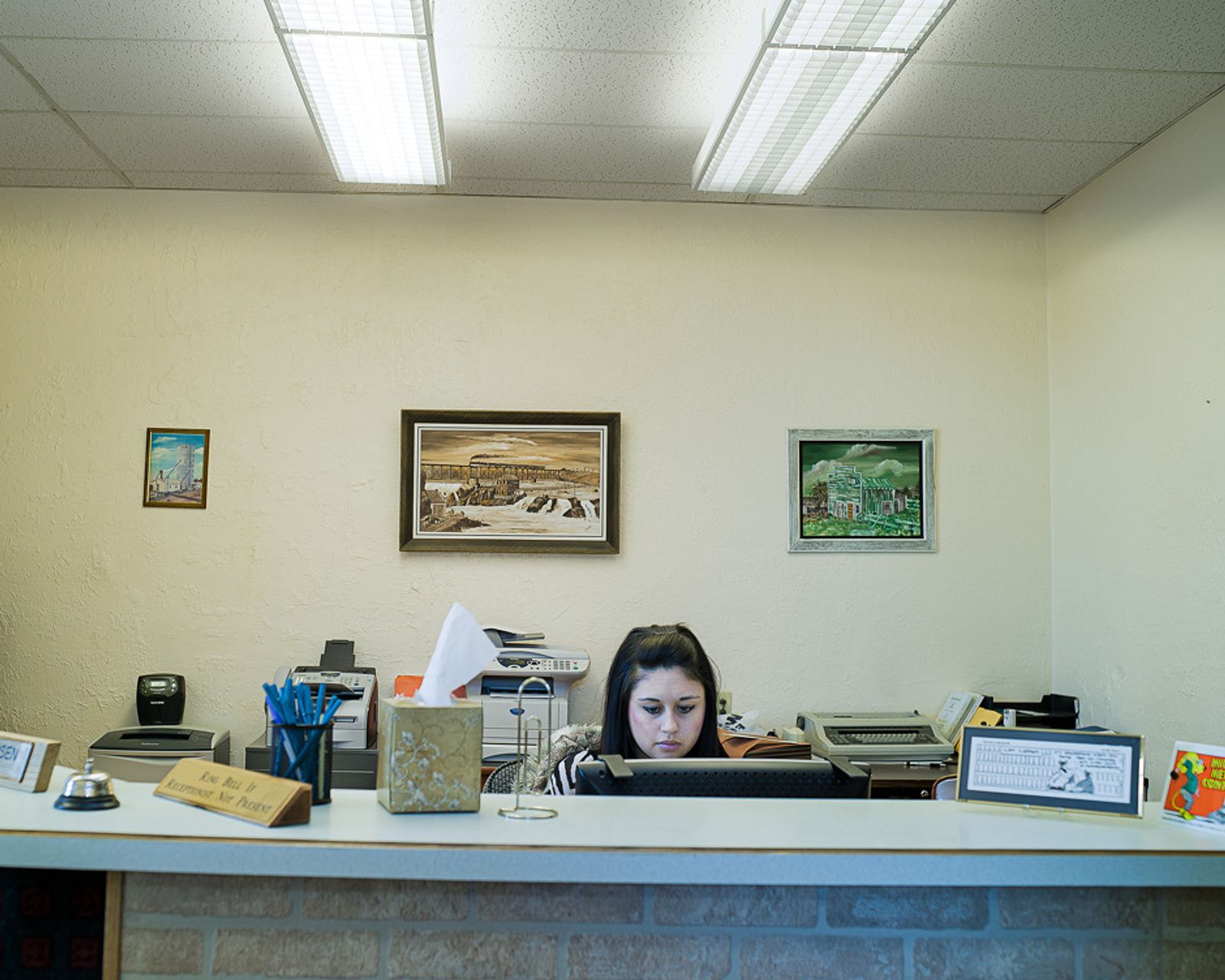 © Steve Davis - Image from the As American Falls photography project