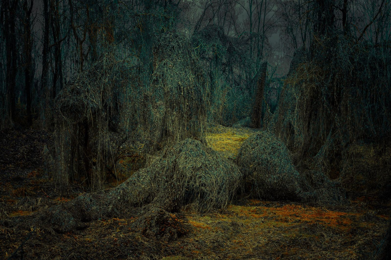 © Michelle Blancke - Image from the Secret Garden - Realm photography project