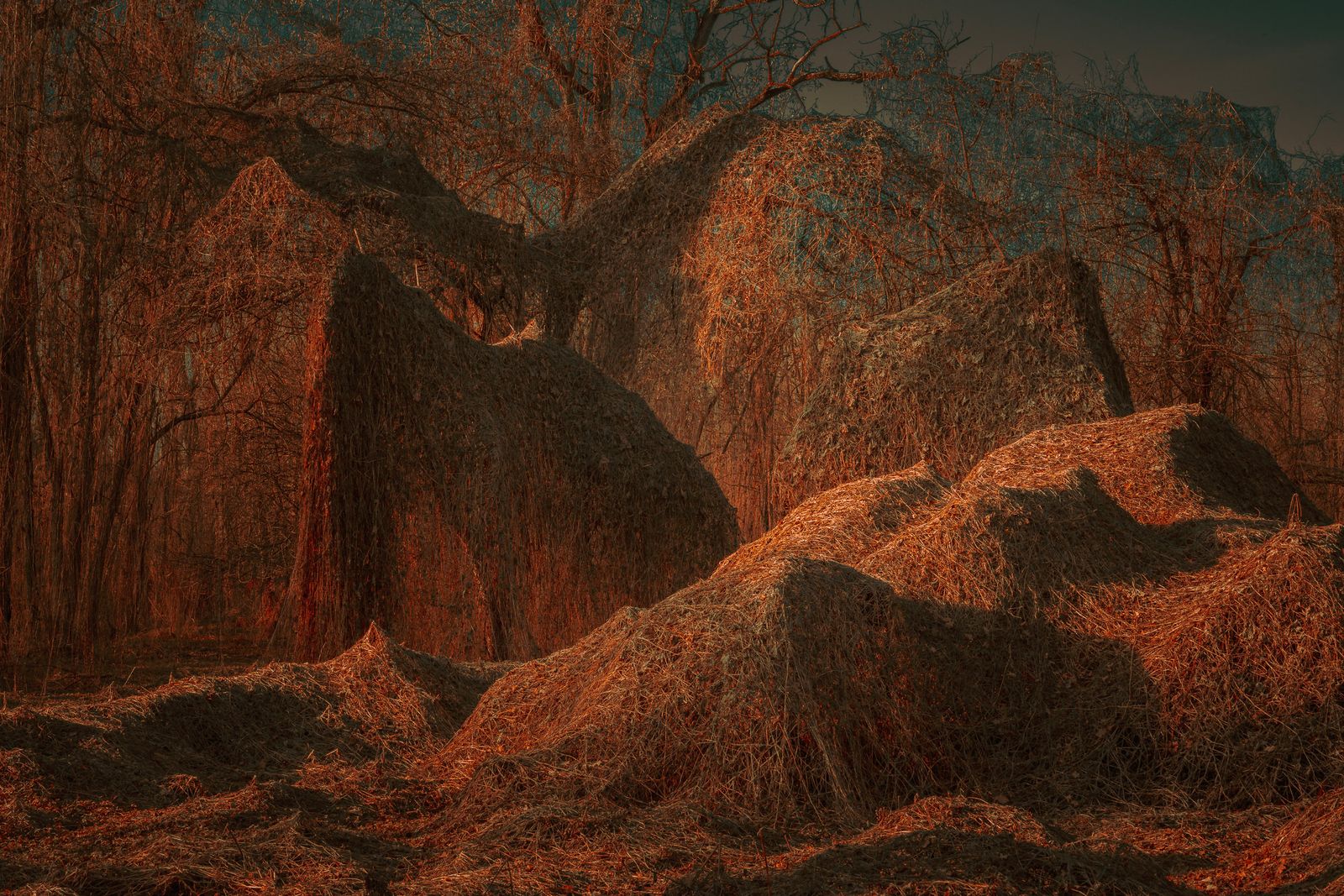 © Michelle Blancke - Image from the Secret Garden - Realm photography project