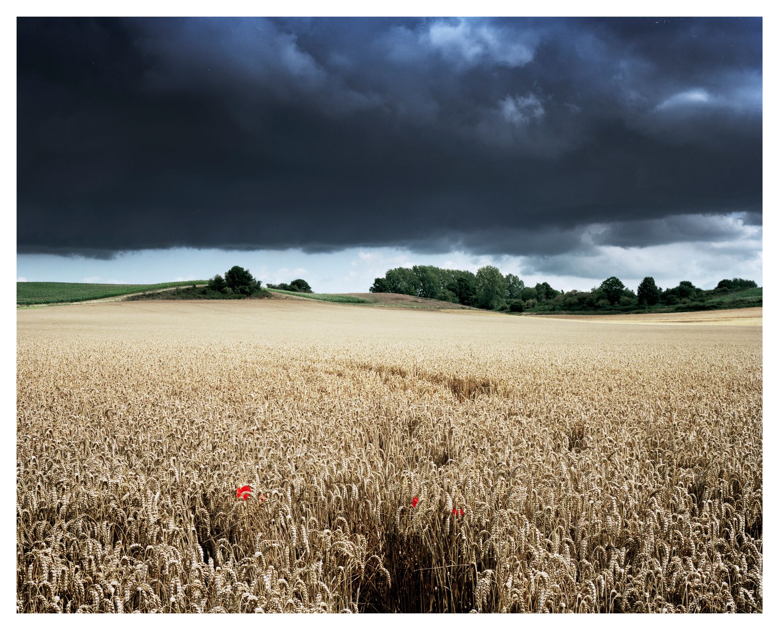 © Roei Greenberg - Wheat-field, Summer (Searching for The Hay Wain)