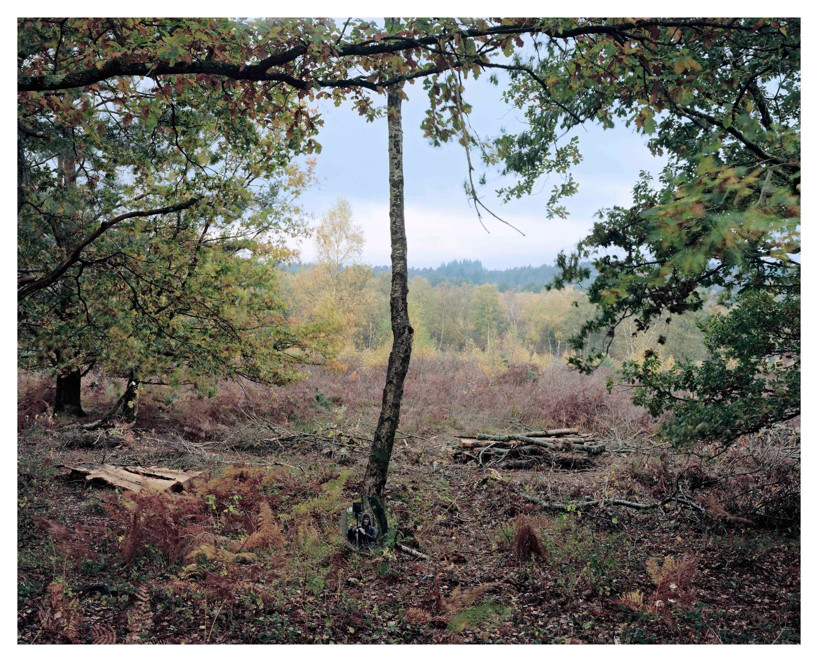 © Roei Greenberg - Landscape with Oaks and Hunter (After Friedrich)