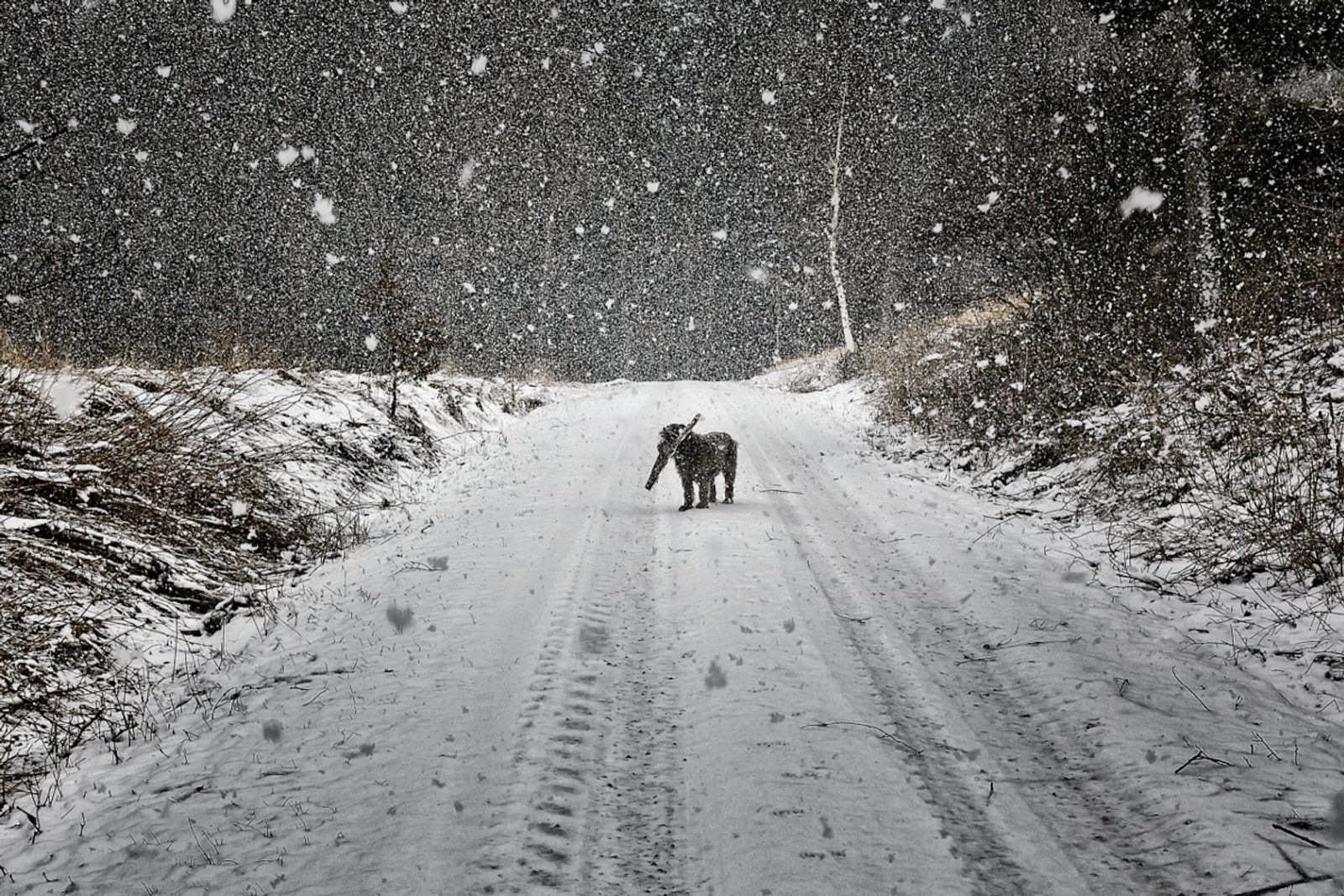 © Jörg Marx - In the dark places #09