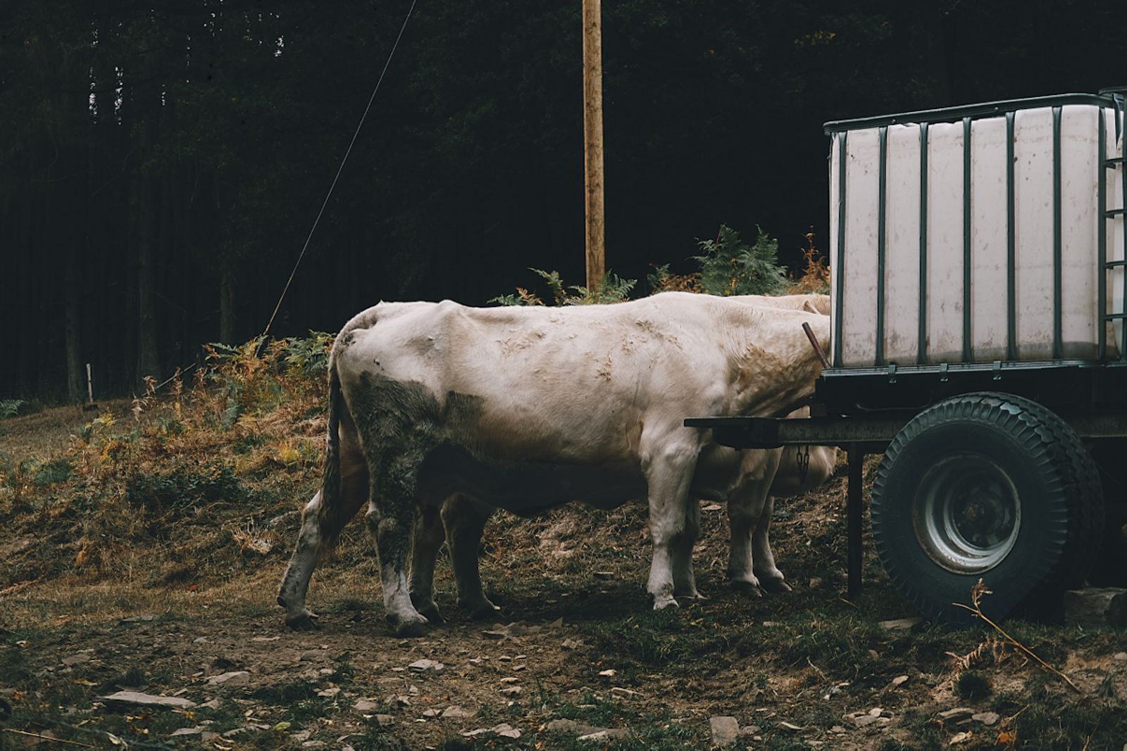 © Jörg Marx - In the dark places #12