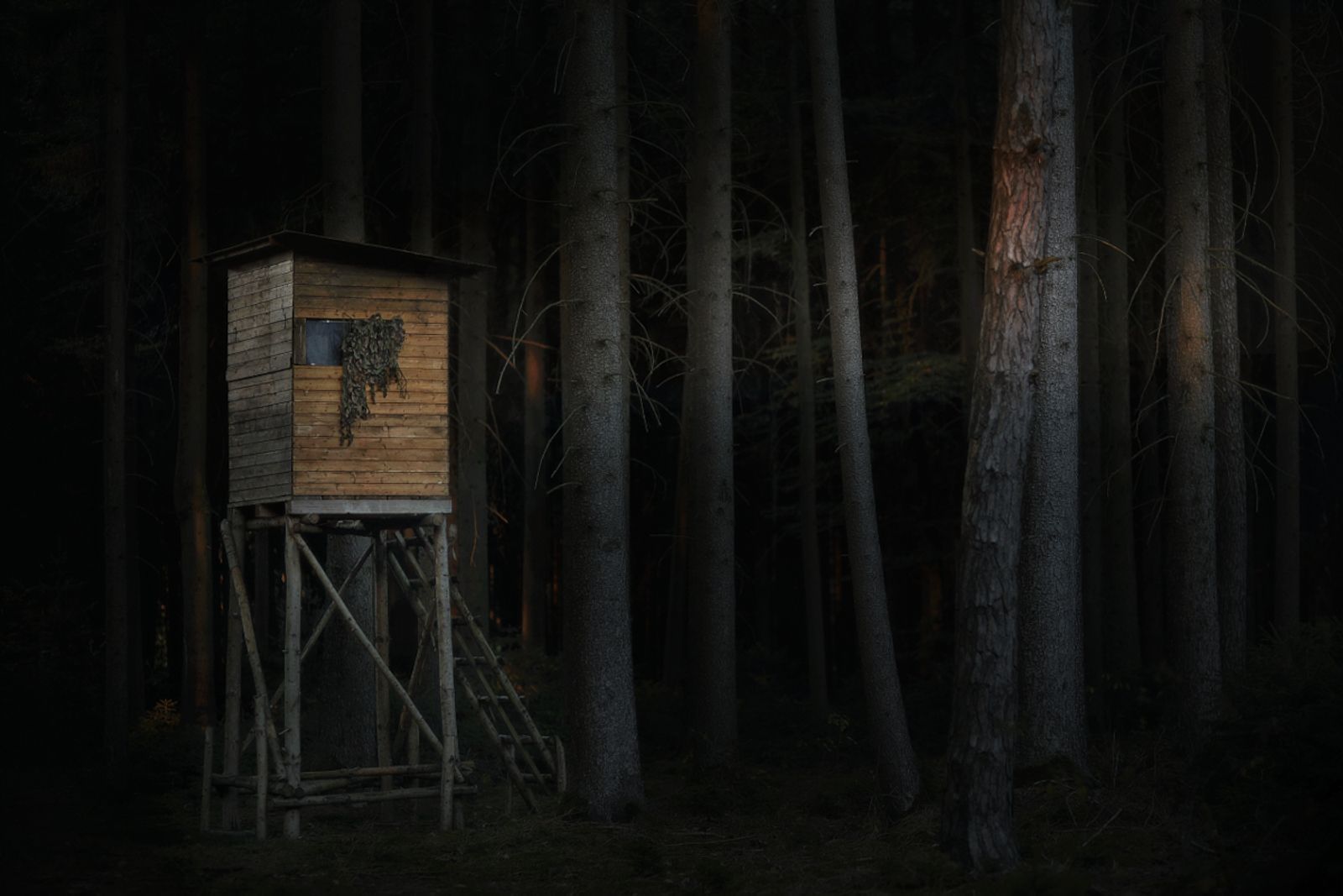 © Jörg Marx - In the dark places #07