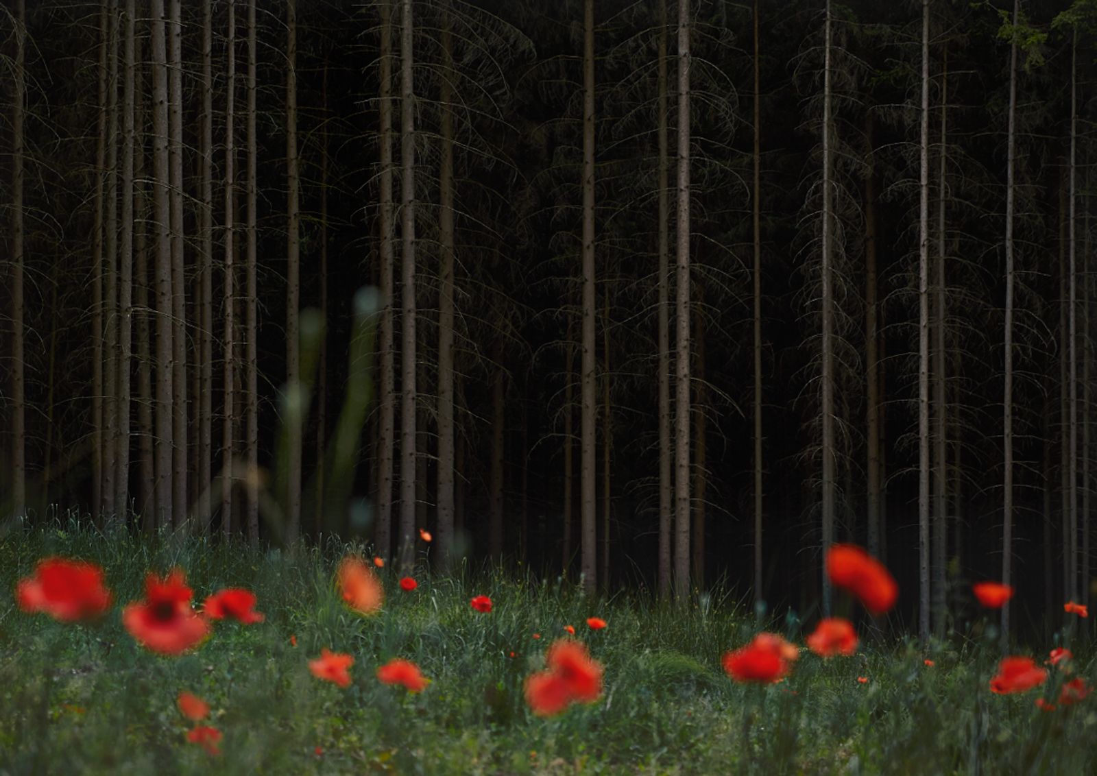 © Jörg Marx - In the dark places #13