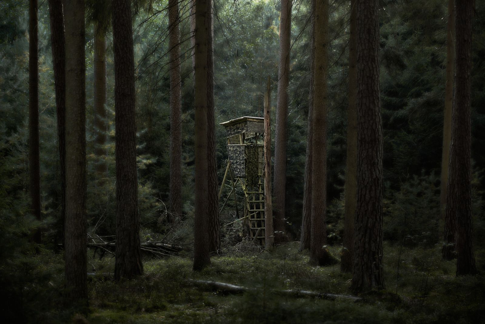 © Jörg Marx - In the dark places #25