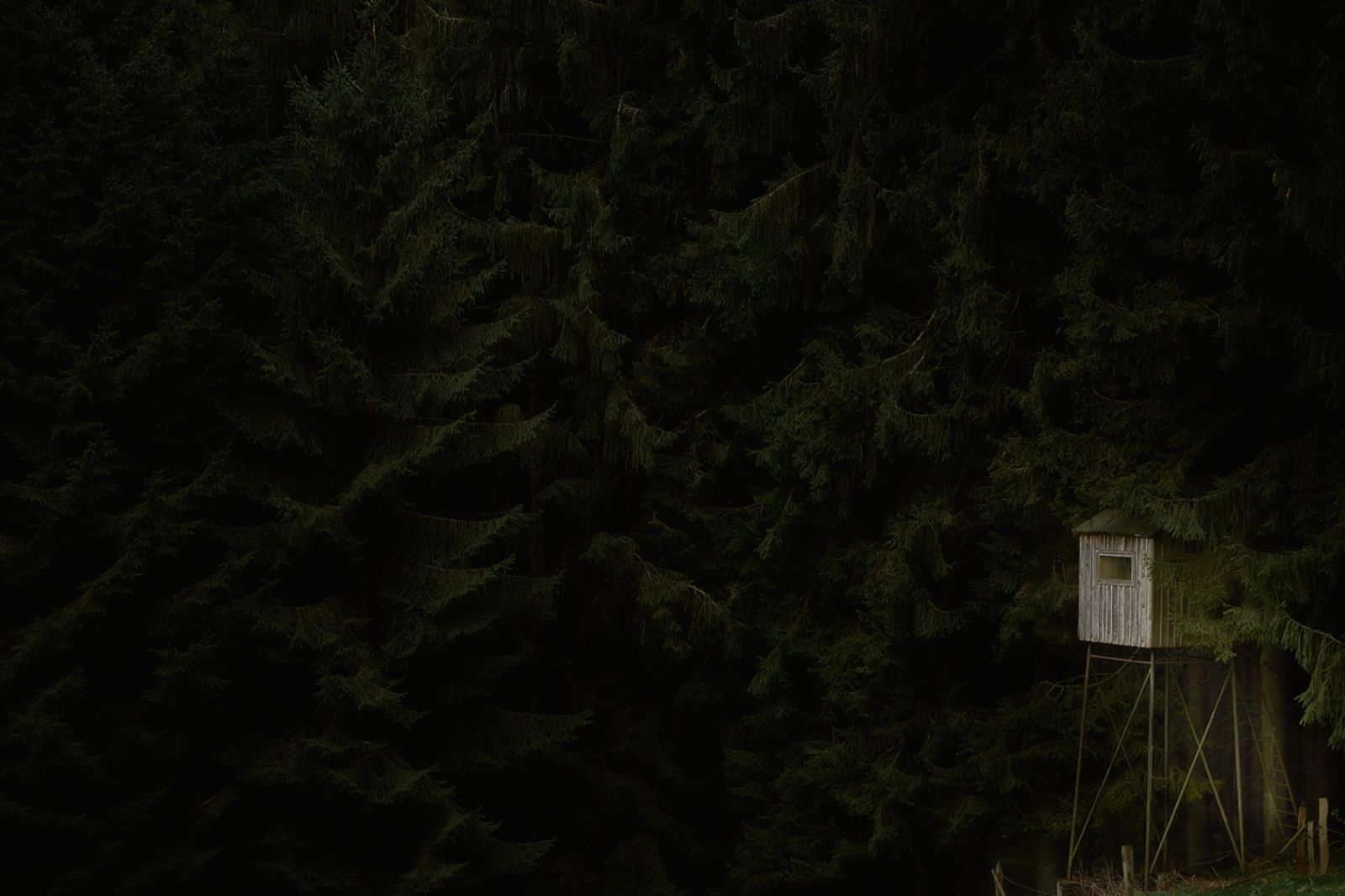 © Jörg Marx - In the dark places #15