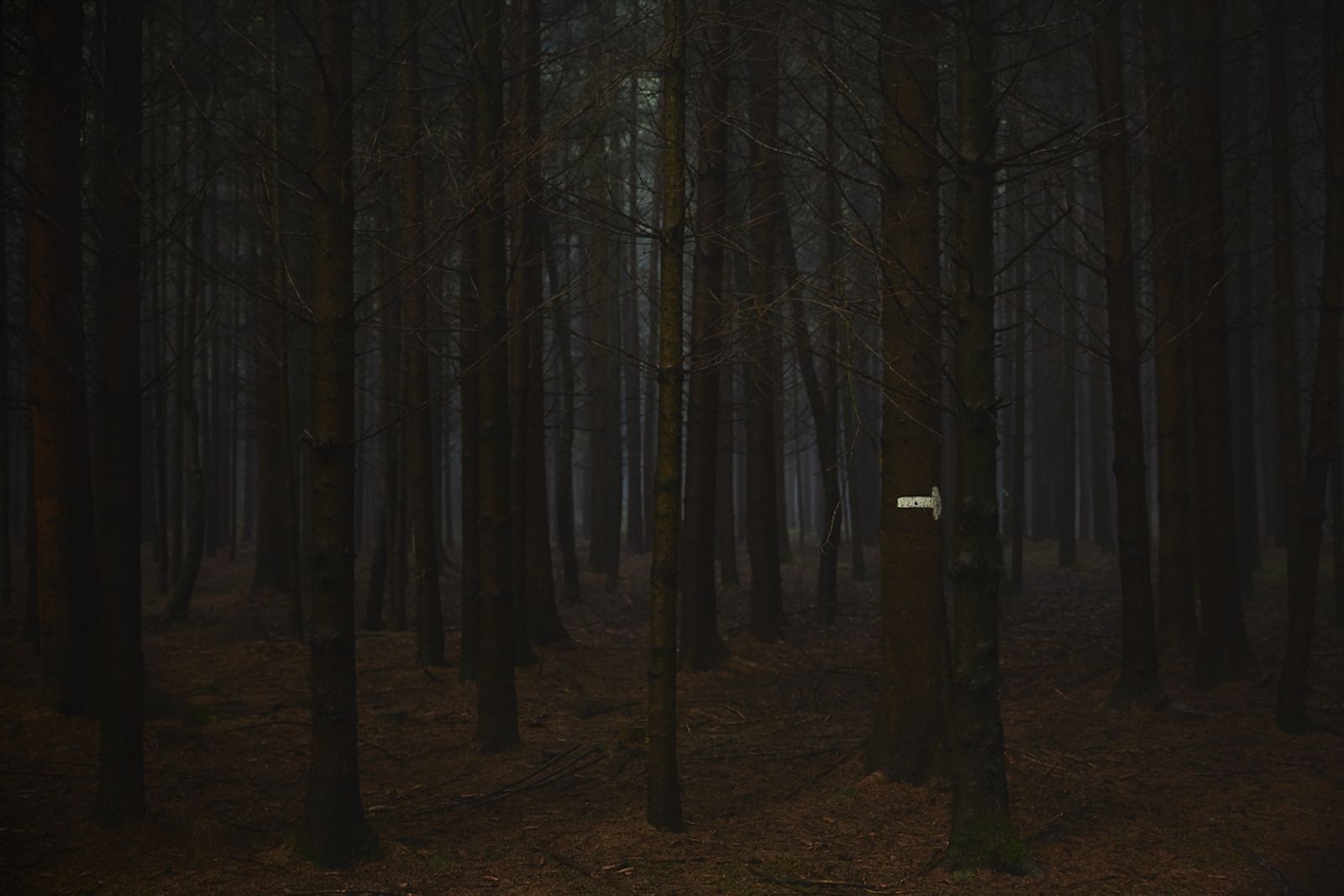 © Jörg Marx - In the dark places #03