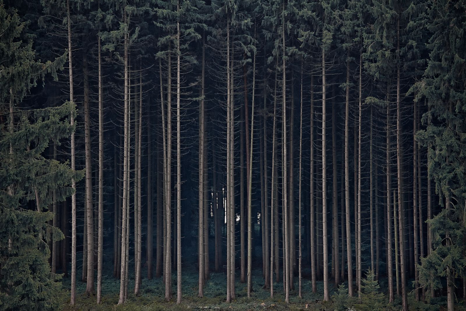 © Jörg Marx - In the dark places #26