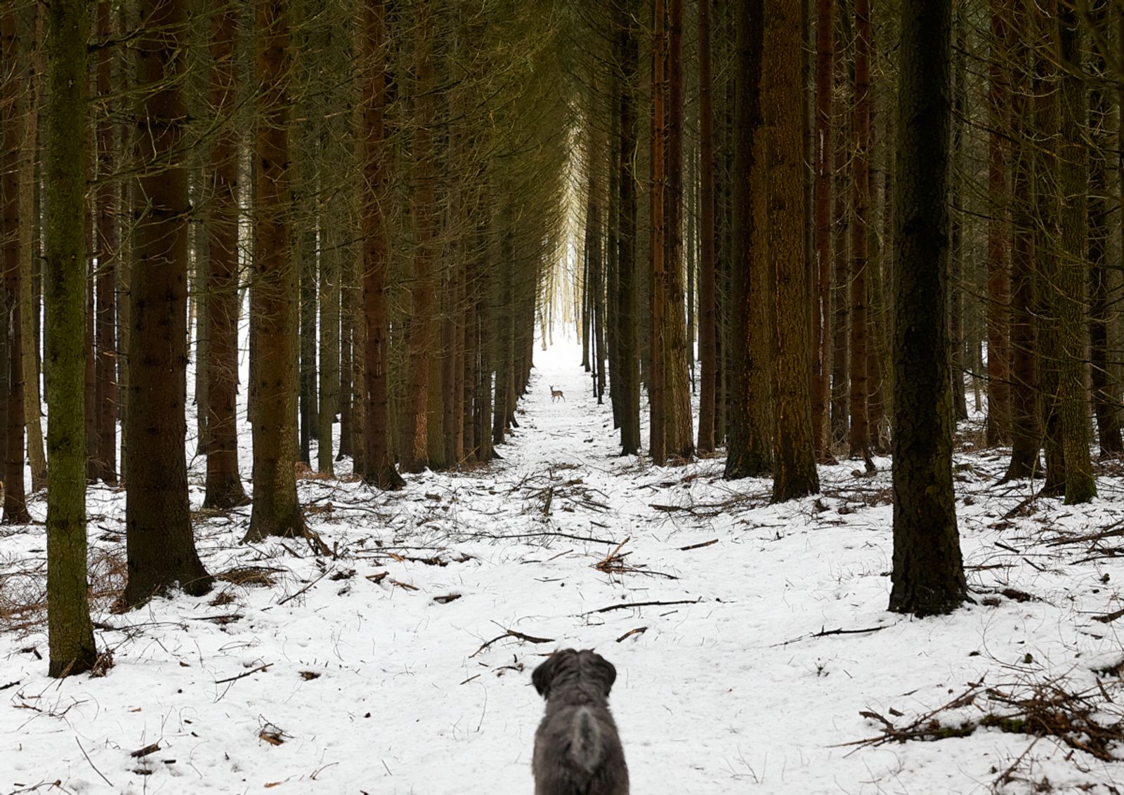 © Jörg Marx - In the dark places #22