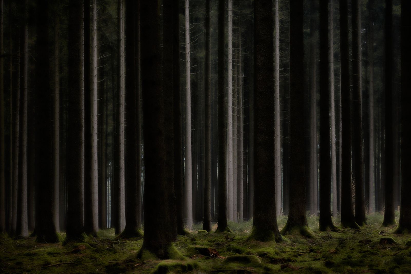 © Jörg Marx - In the dark places #10