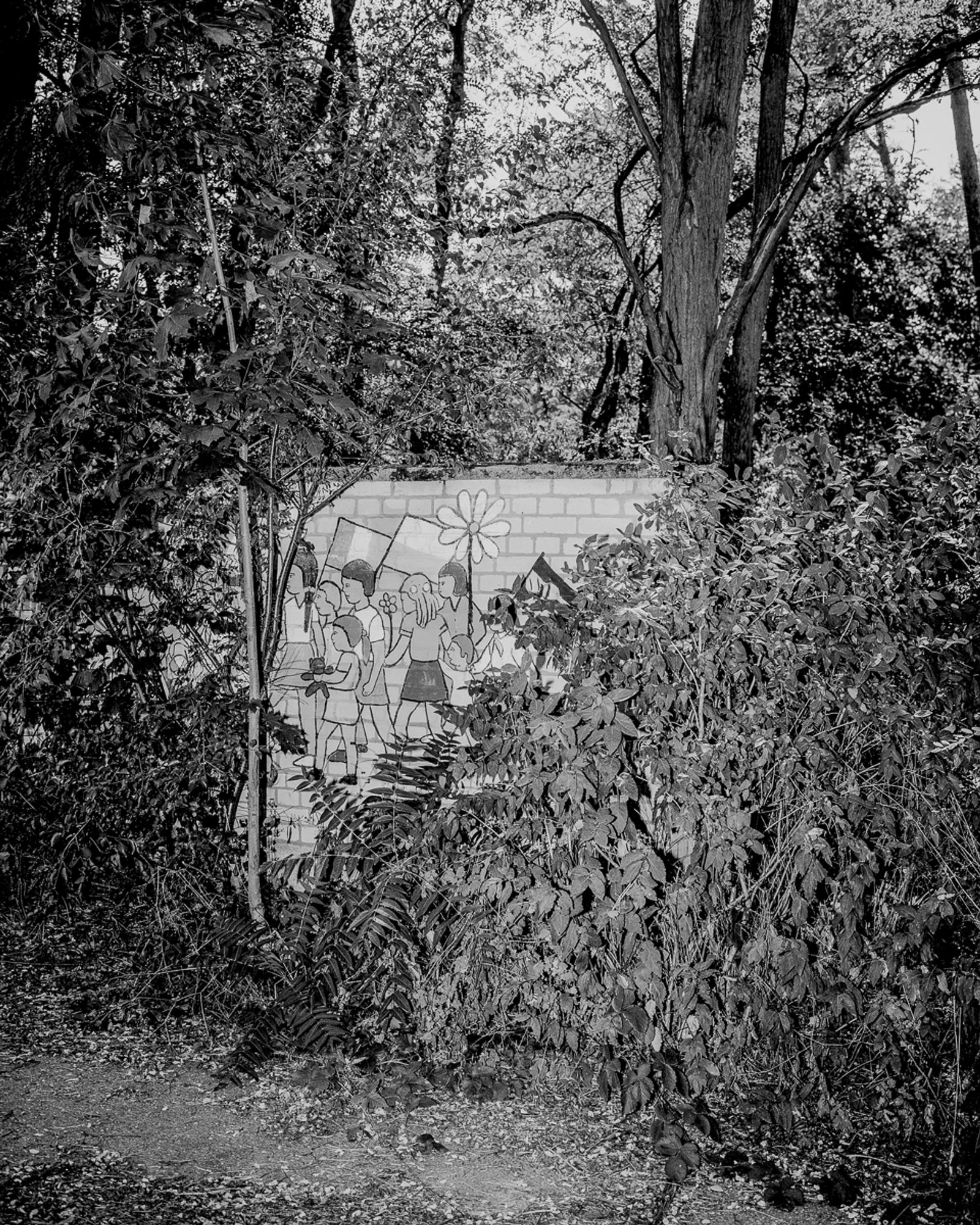 © Paweł Starzec - Image from the Zersetzung photography project