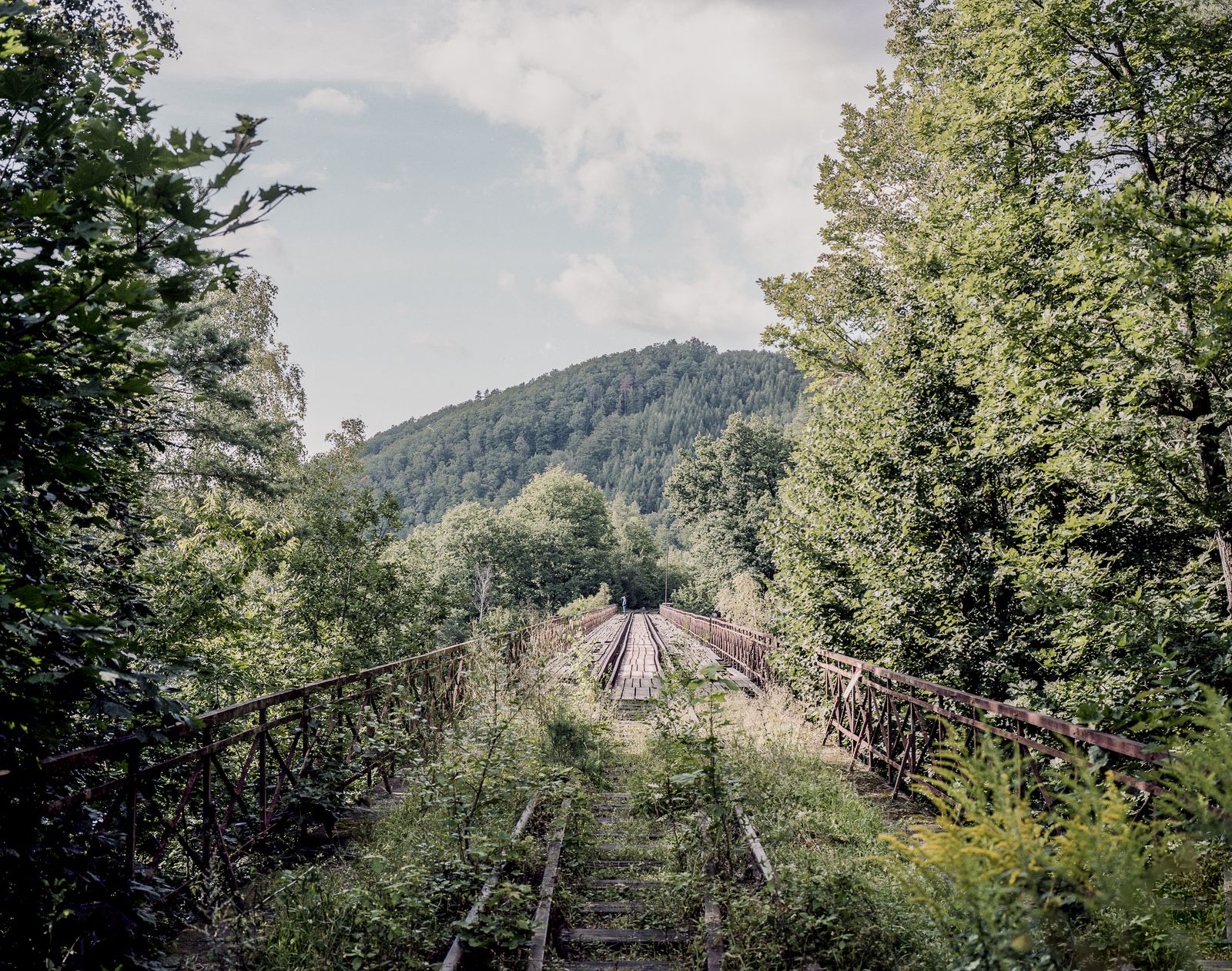 © Paweł Starzec - Image from the Anew photography project
