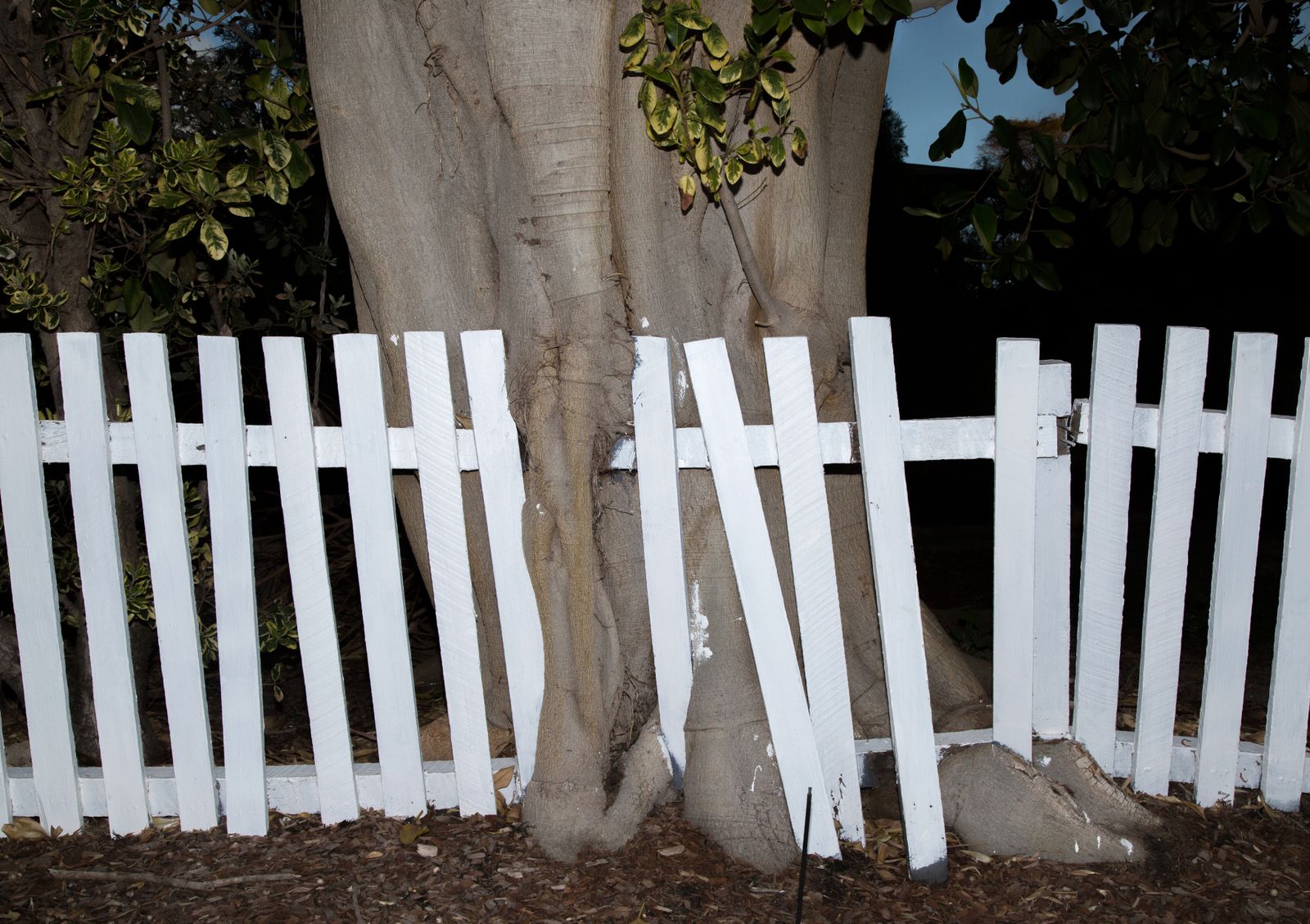 © Jacob Wallwork - Image from the Strange Daze photography project