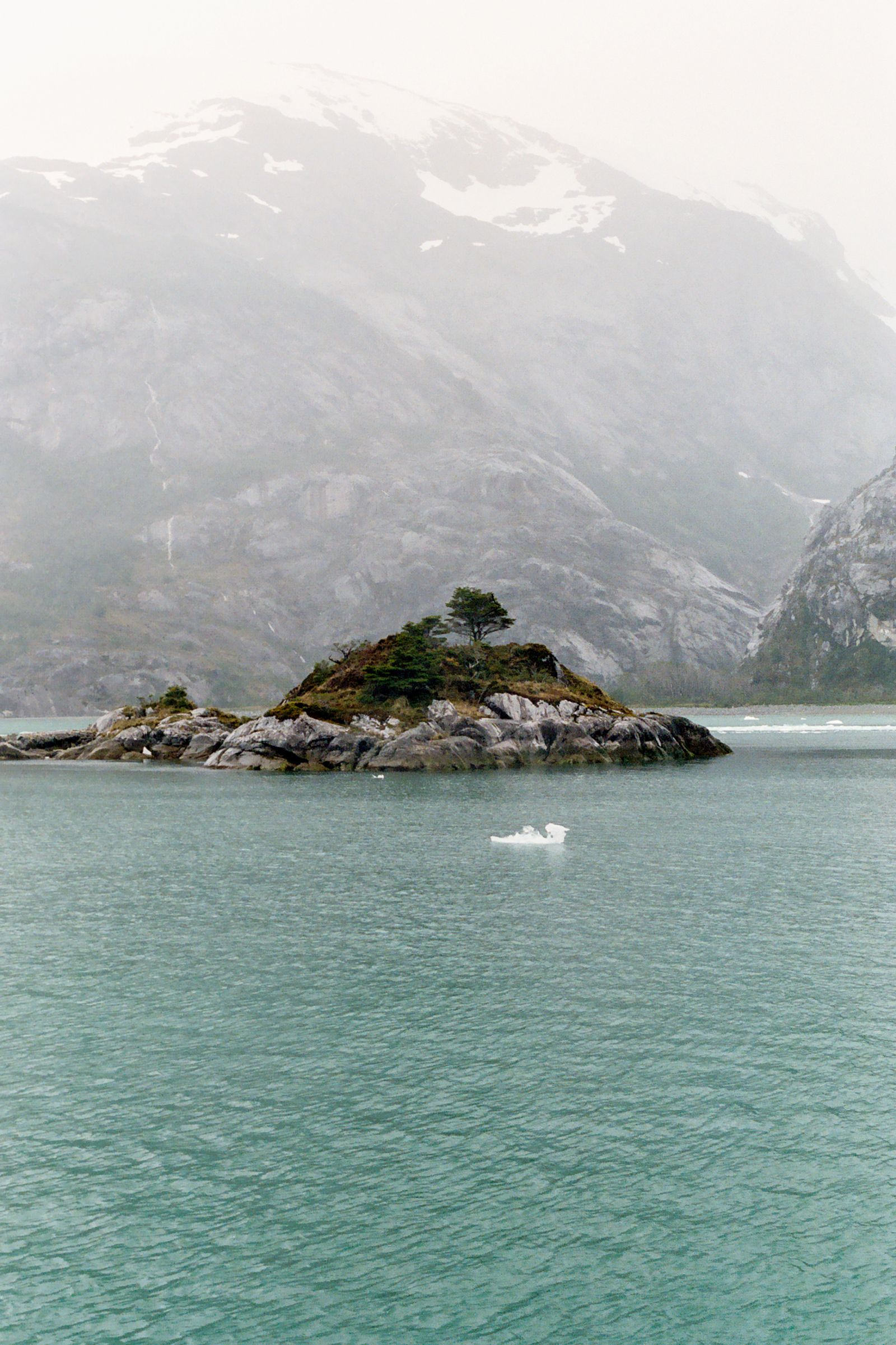 © Akosua Viktoria Adu-Sanyah - island in seno ballena fjord of magellan strait