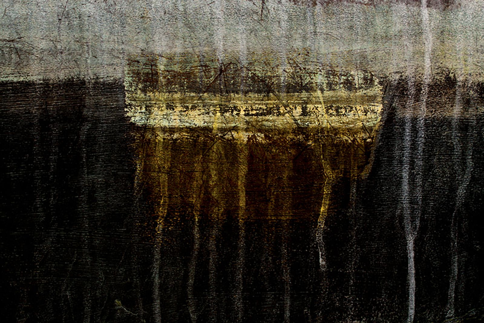 © Susan Evans Grove - Changing Course