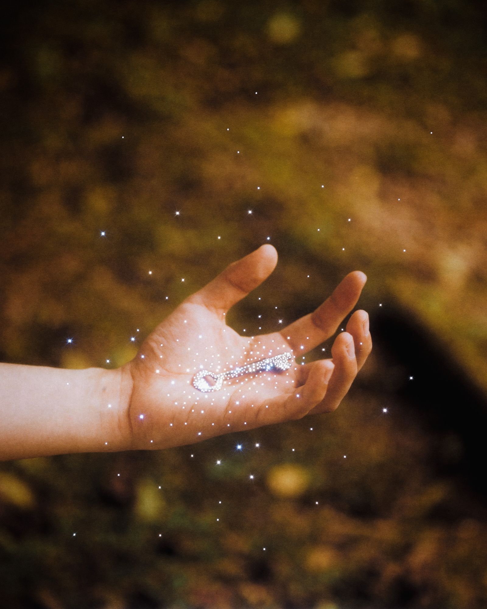 © Alvin Ng - Image from the Book of Days photography project